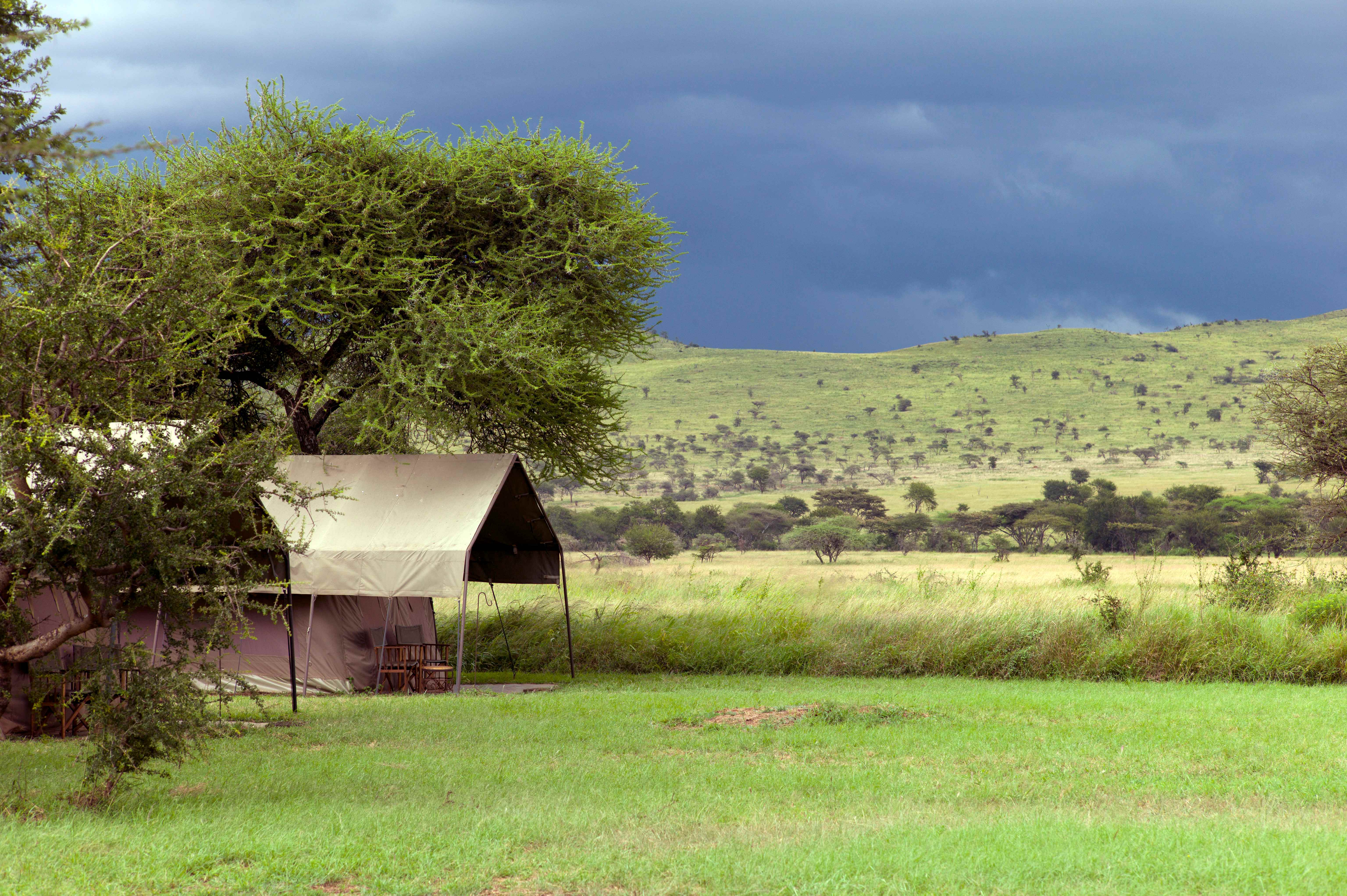 Ronjo Camp
