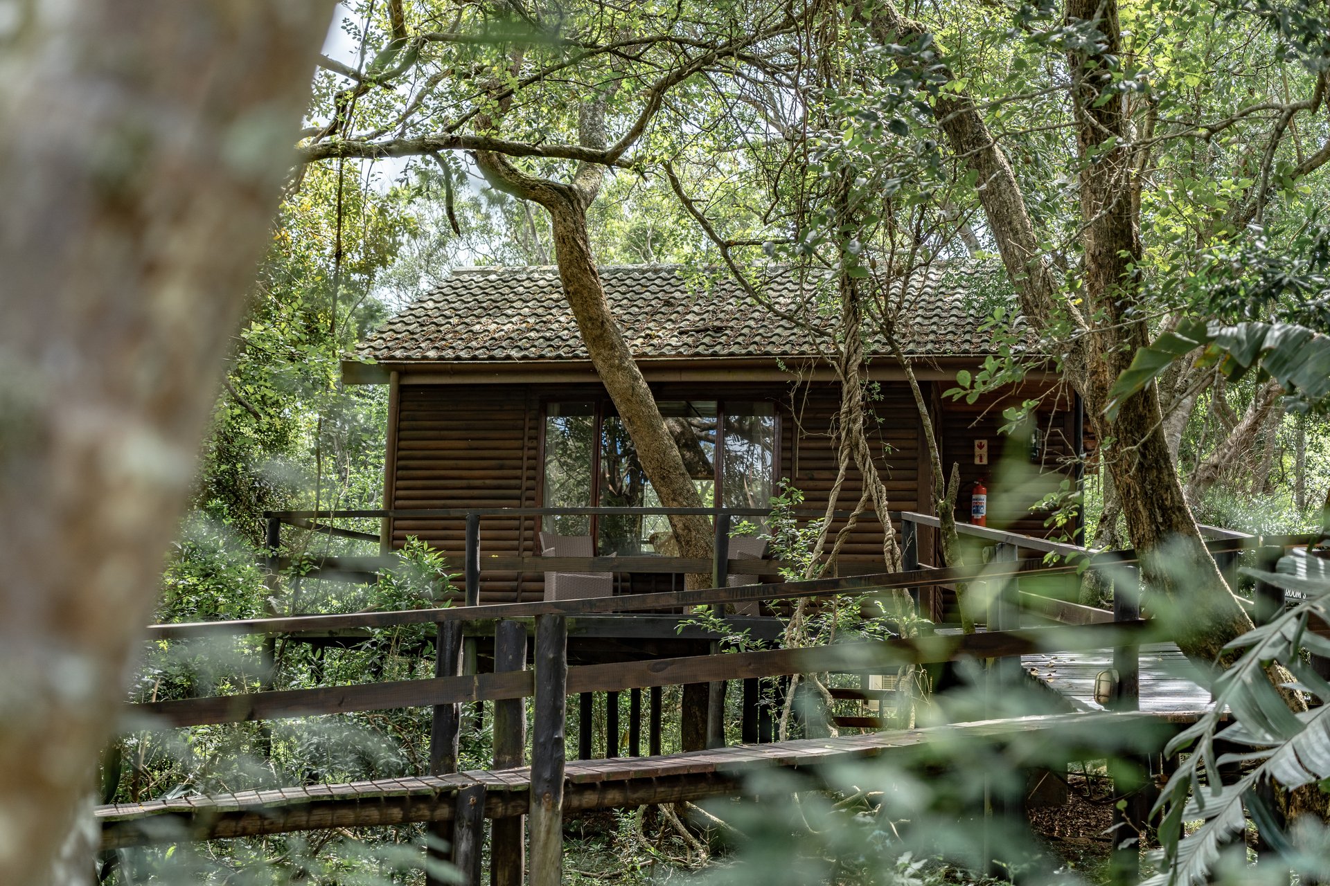 Gooderson Bushlands Game Lodge 4