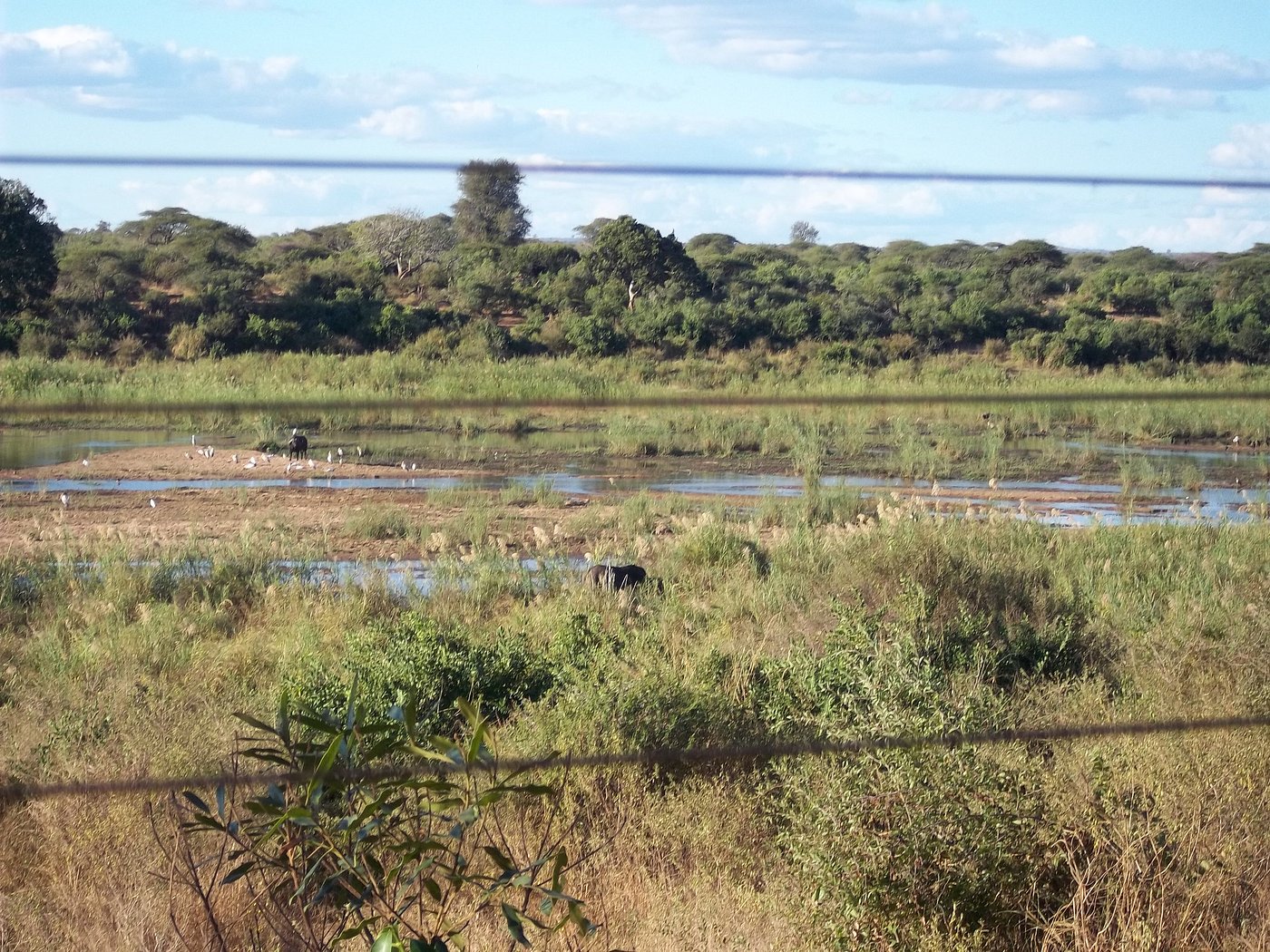 Lower Sabie Rest Camp 5