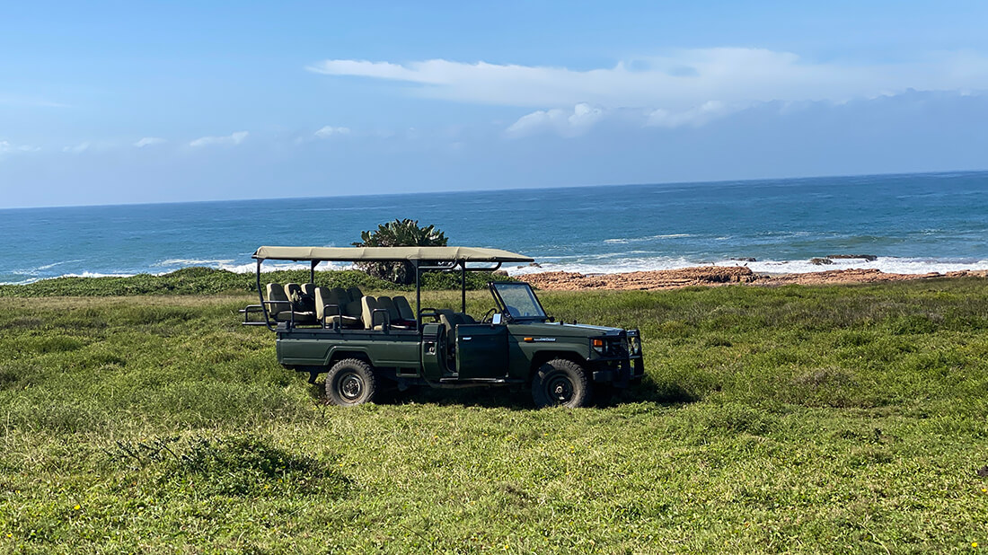 GweGwe Beach Lodge 6