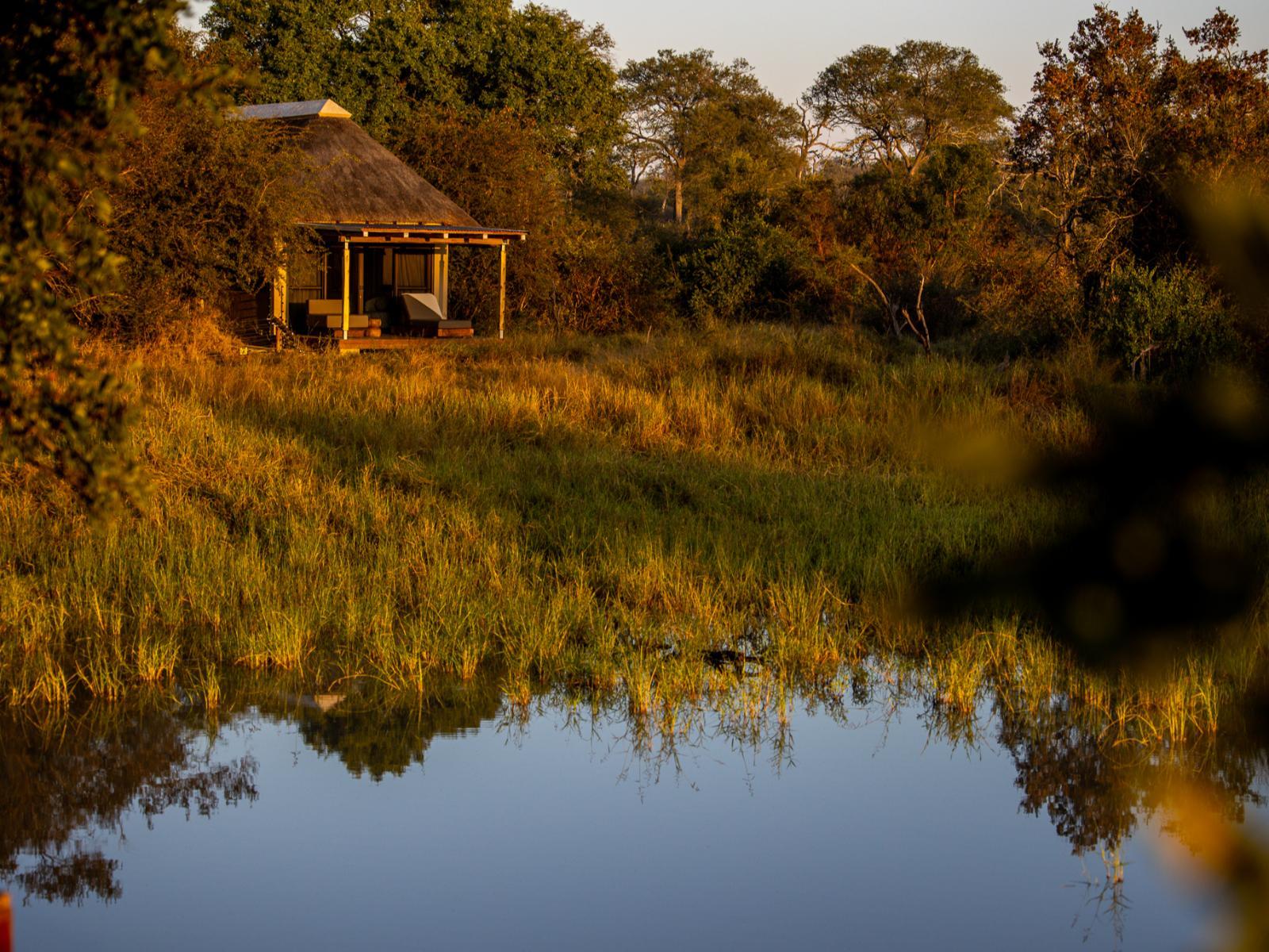 Simbavati Waterside 2