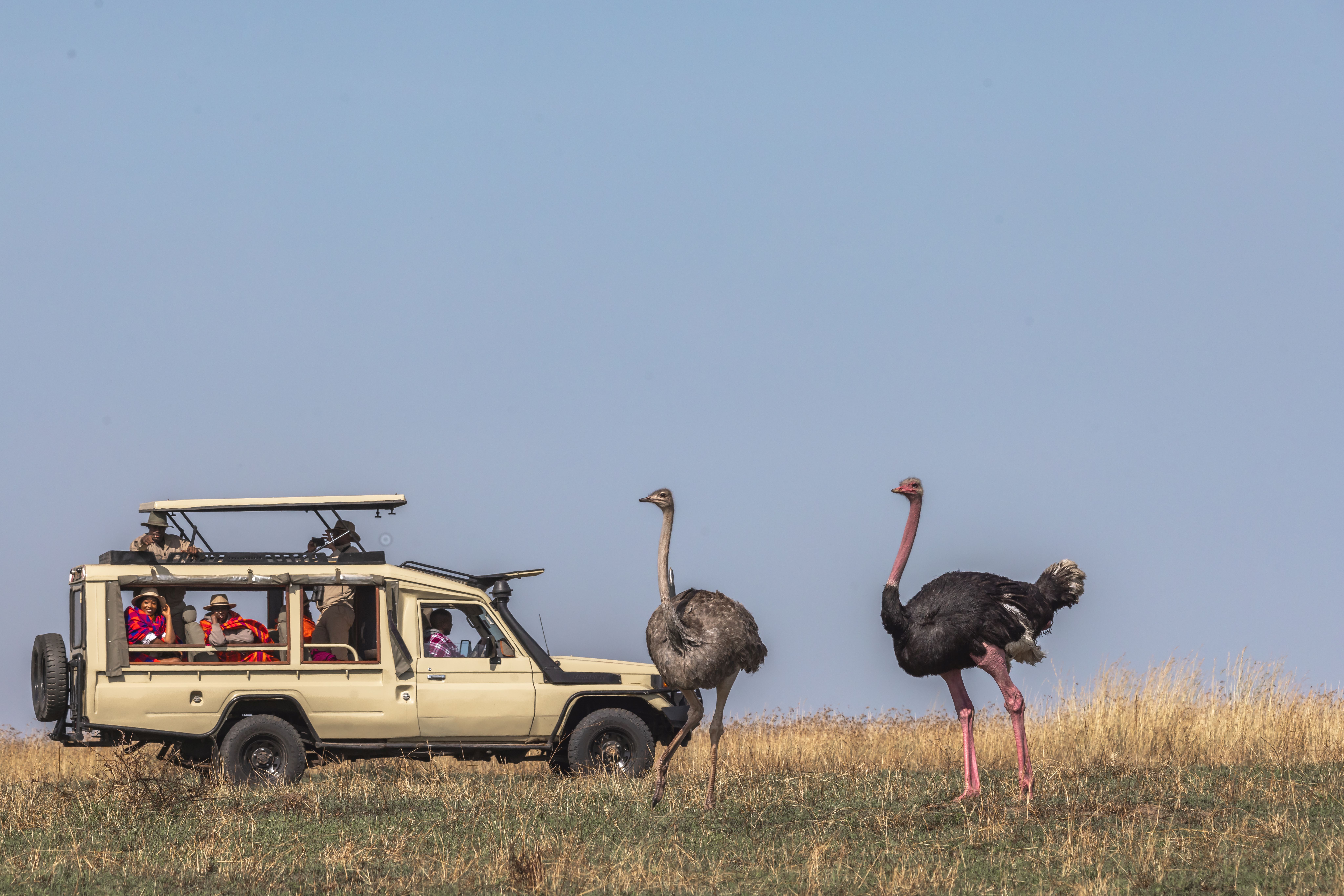Sentrim Mara Camp
