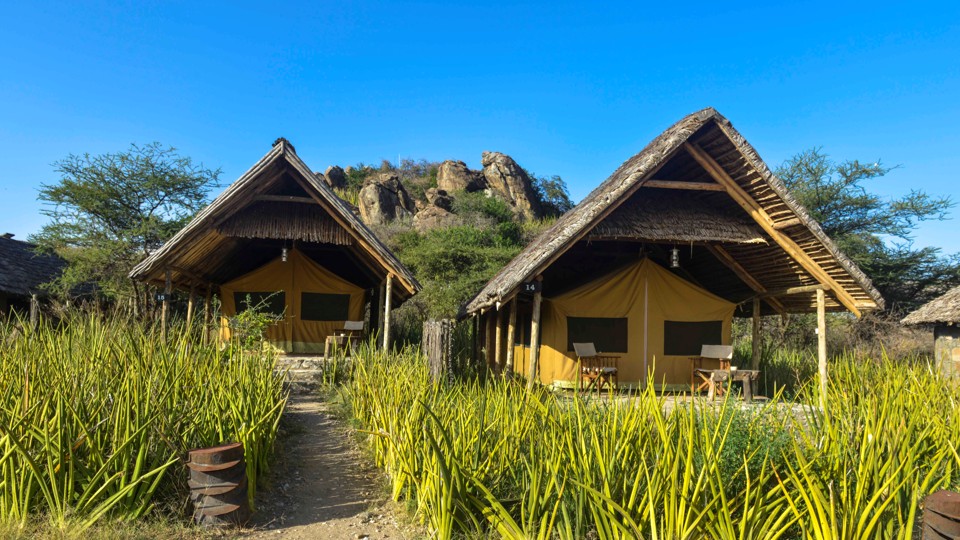 Olduvai Camp