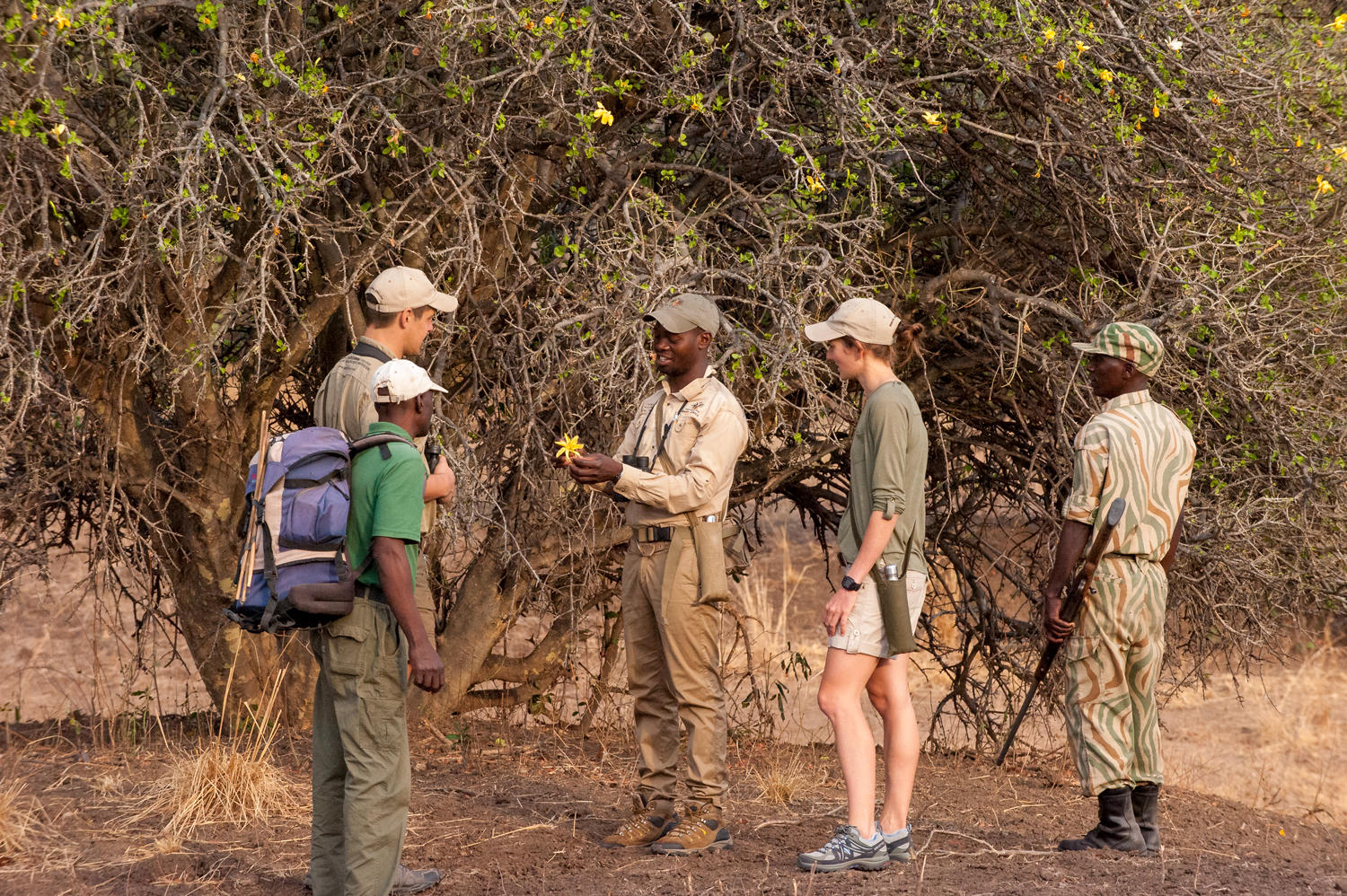 South Luangwa National Park