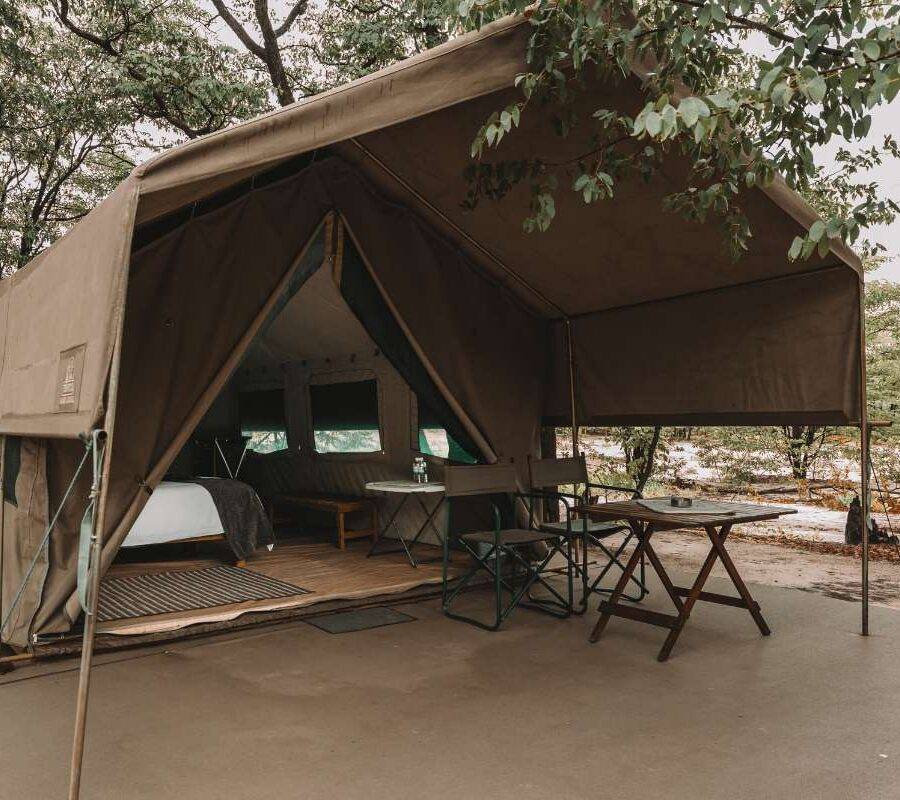 Camelthorn Bush Camp