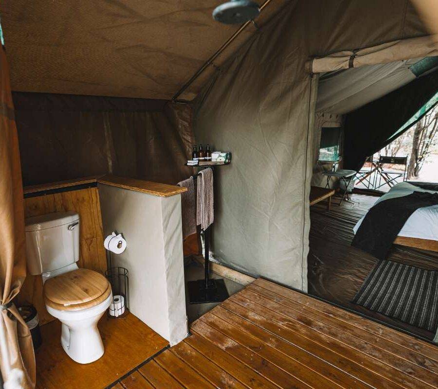Camelthorn Bush Camp