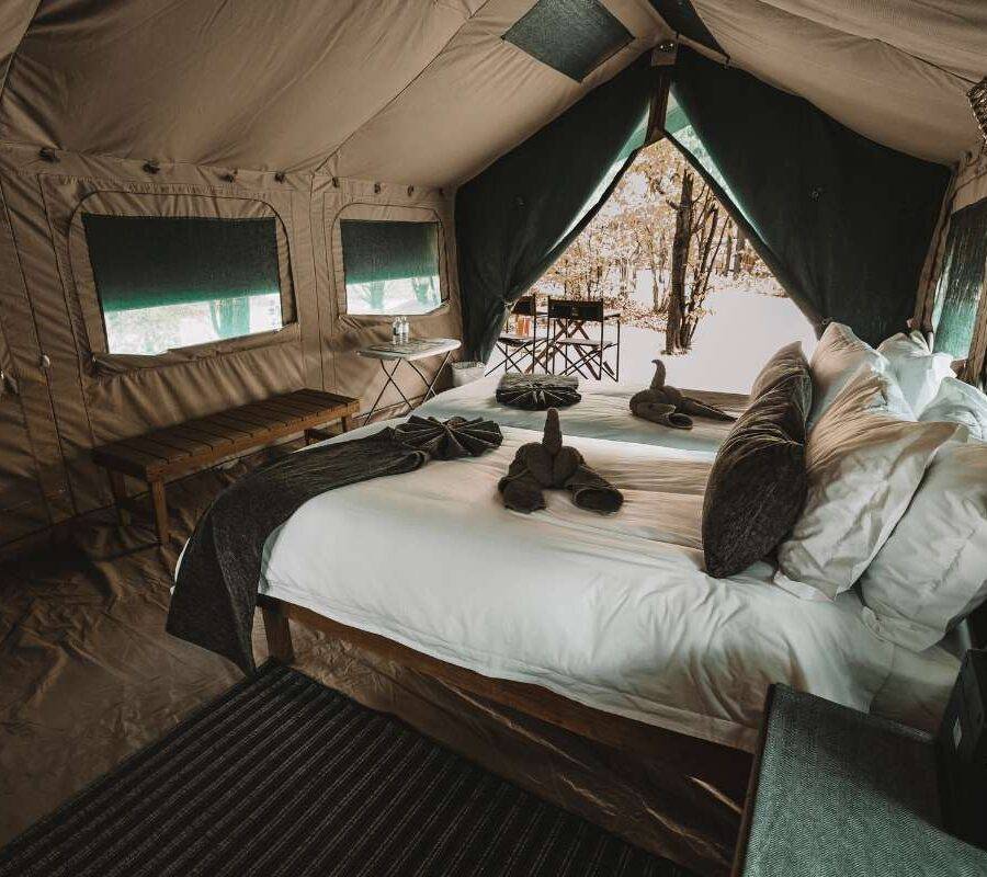 Camelthorn Bush Camp