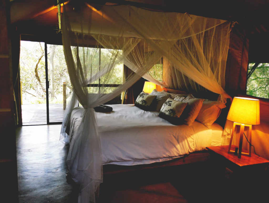 Little Africa Safari Lodge 4
