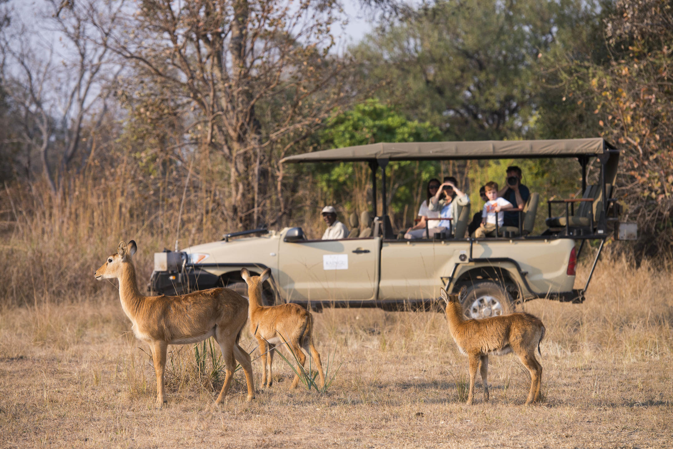 Kaingu Safari Lodge