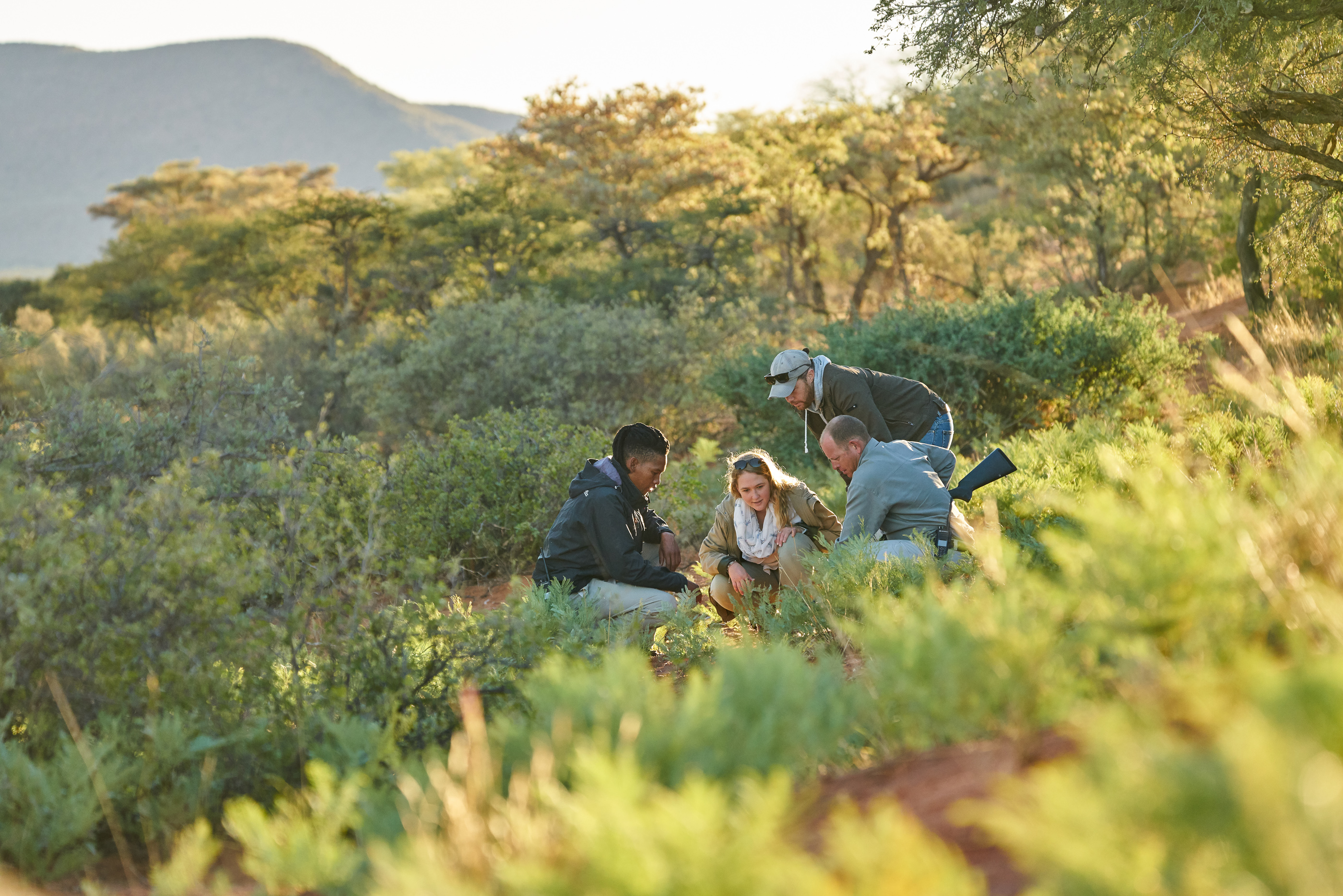 Tswalu Tarkuni Homestead 6