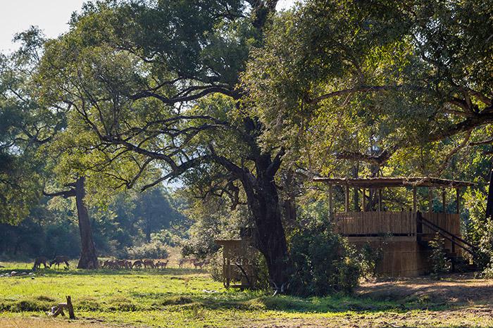 Chamilandu Bushcamp
