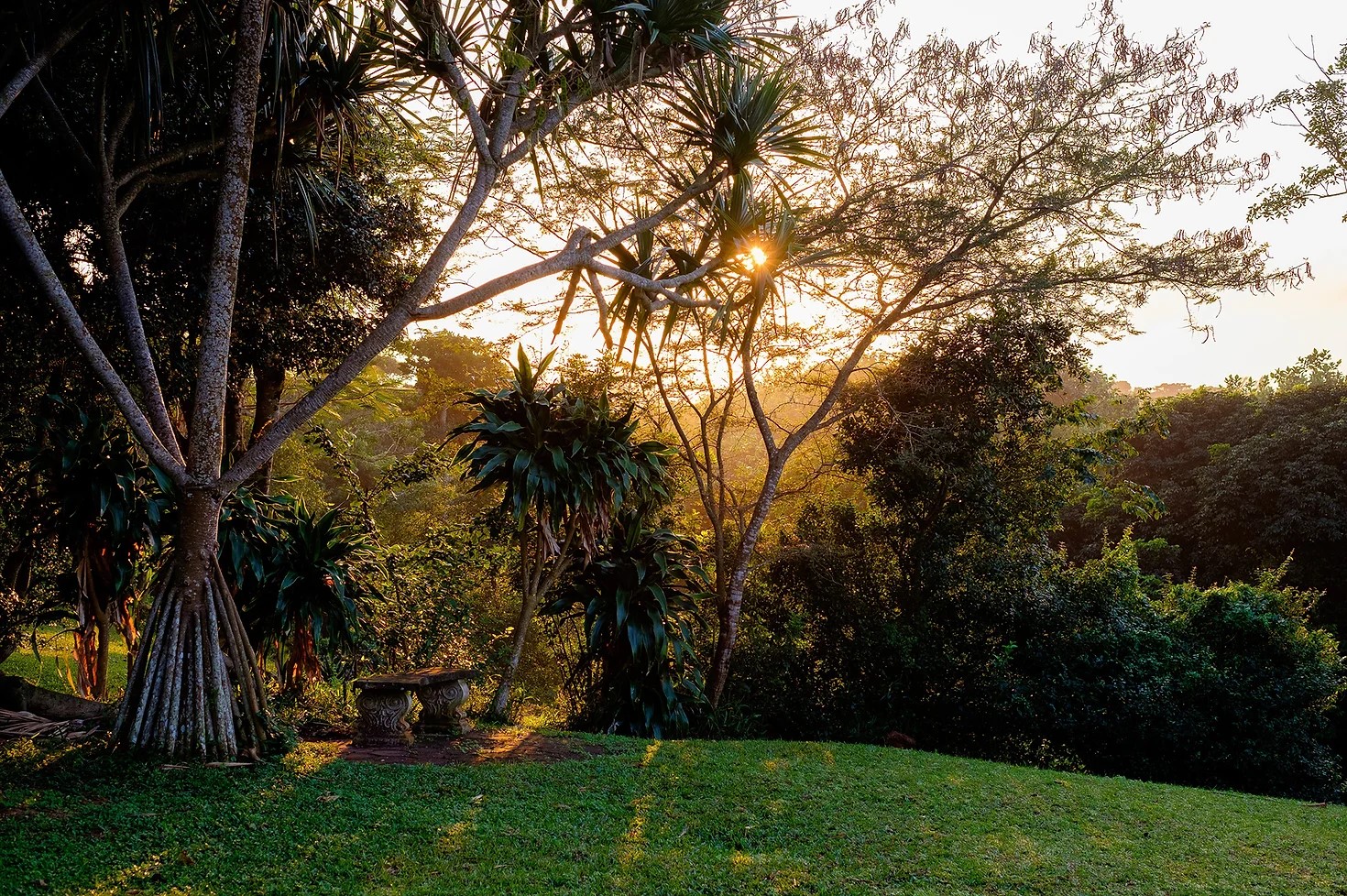 The St. Lucia Eco-Lodge 6