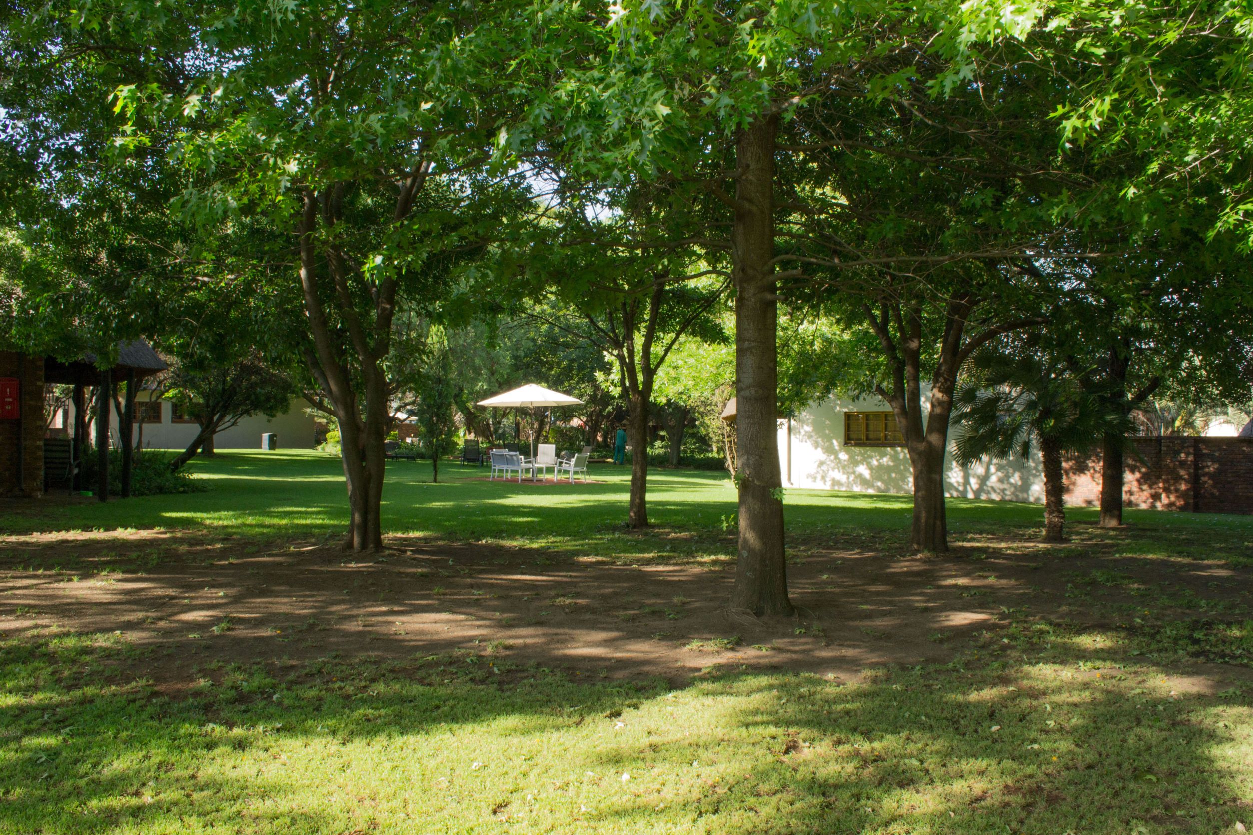The Safari Club