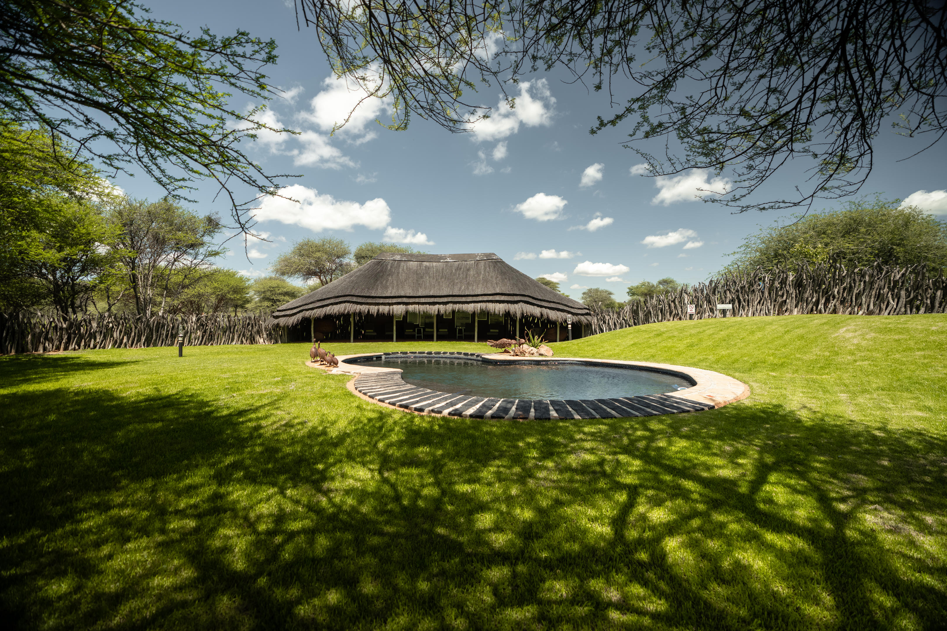 Okonjima Bush Camp