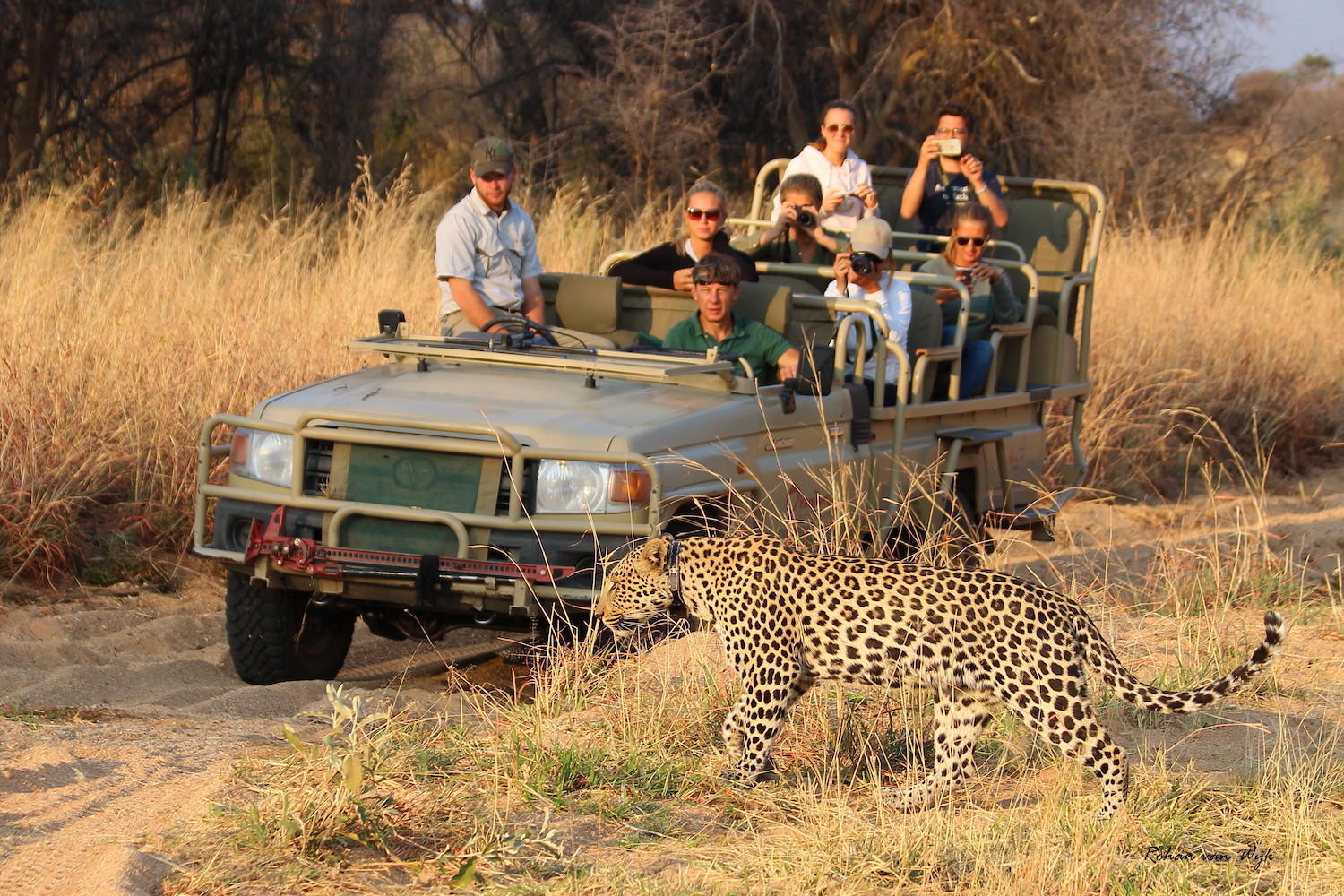 Okonjima Bush Camp 5
