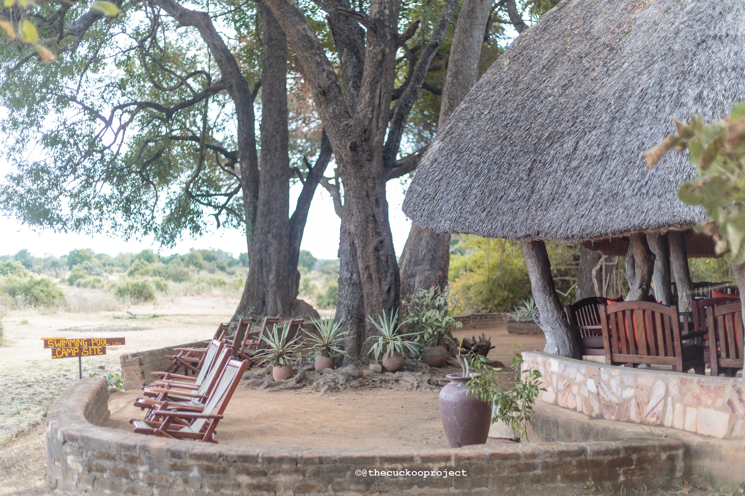 Wildlife Camp