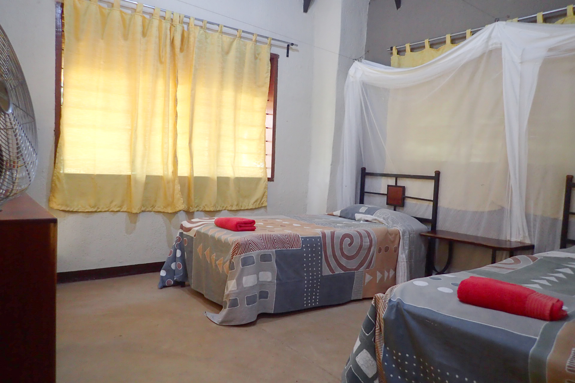 Wildlife Camp