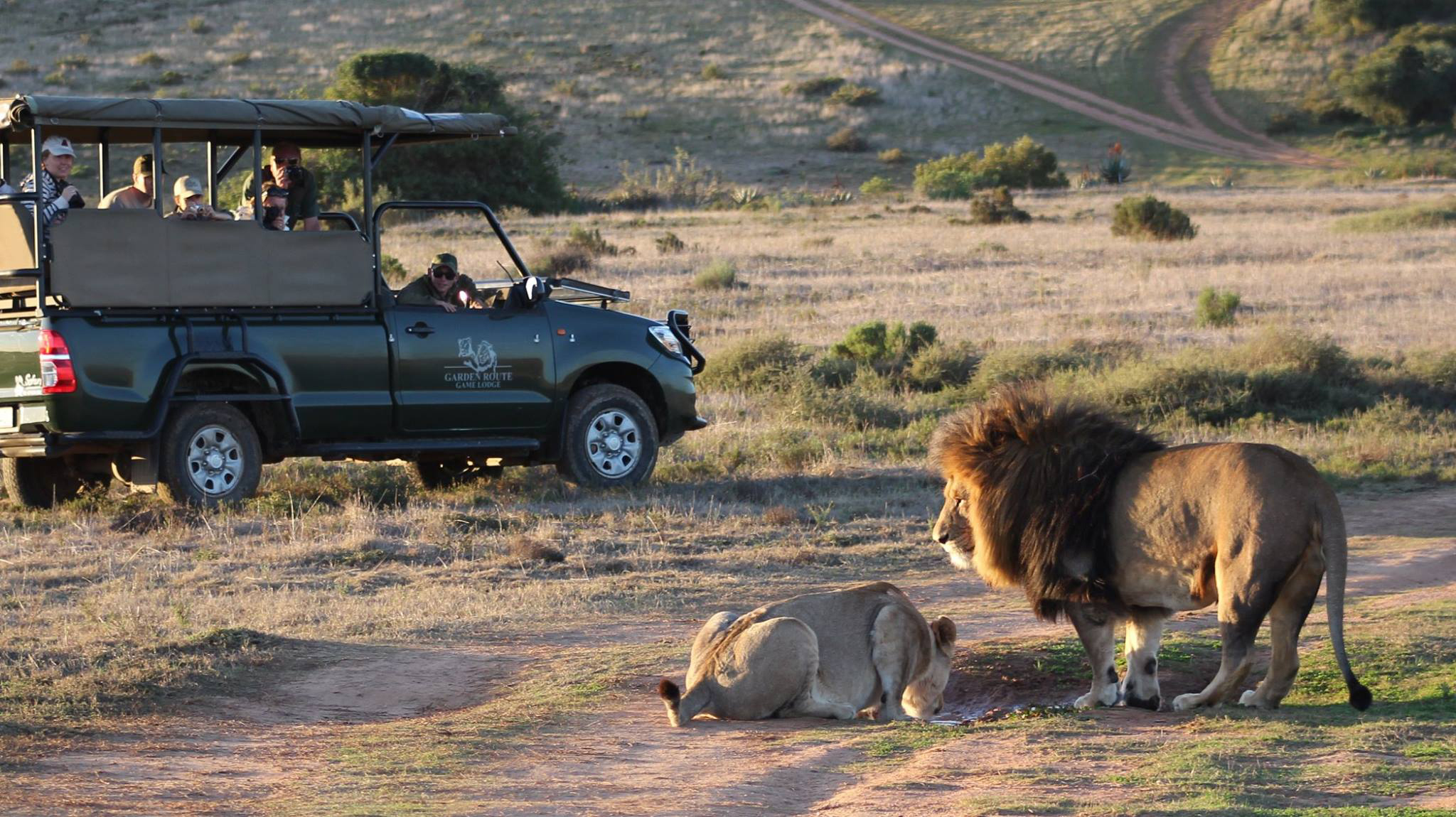 Garden Route Game Lodge