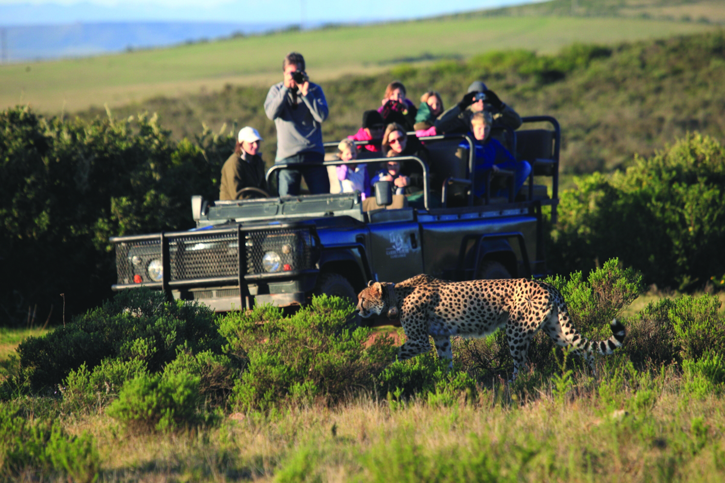 Garden Route Game Lodge 2