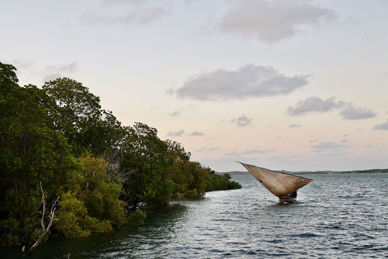 NaiSabah Dhow