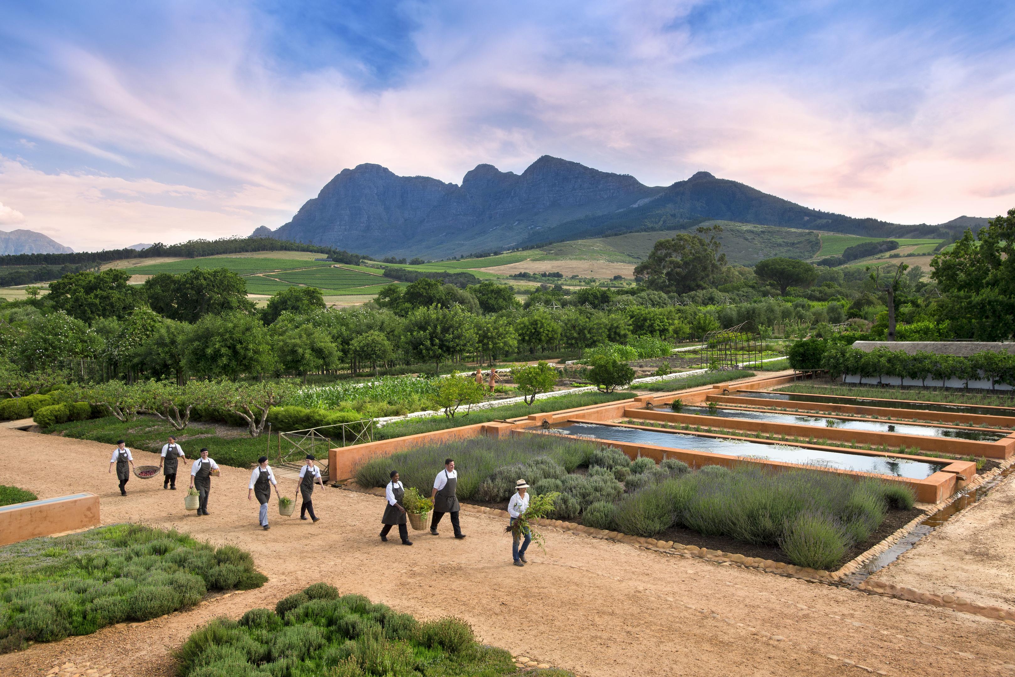 Babylonstoren 9