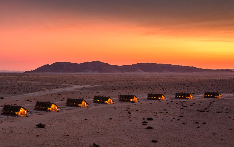 Desert Quiver Camp 5
