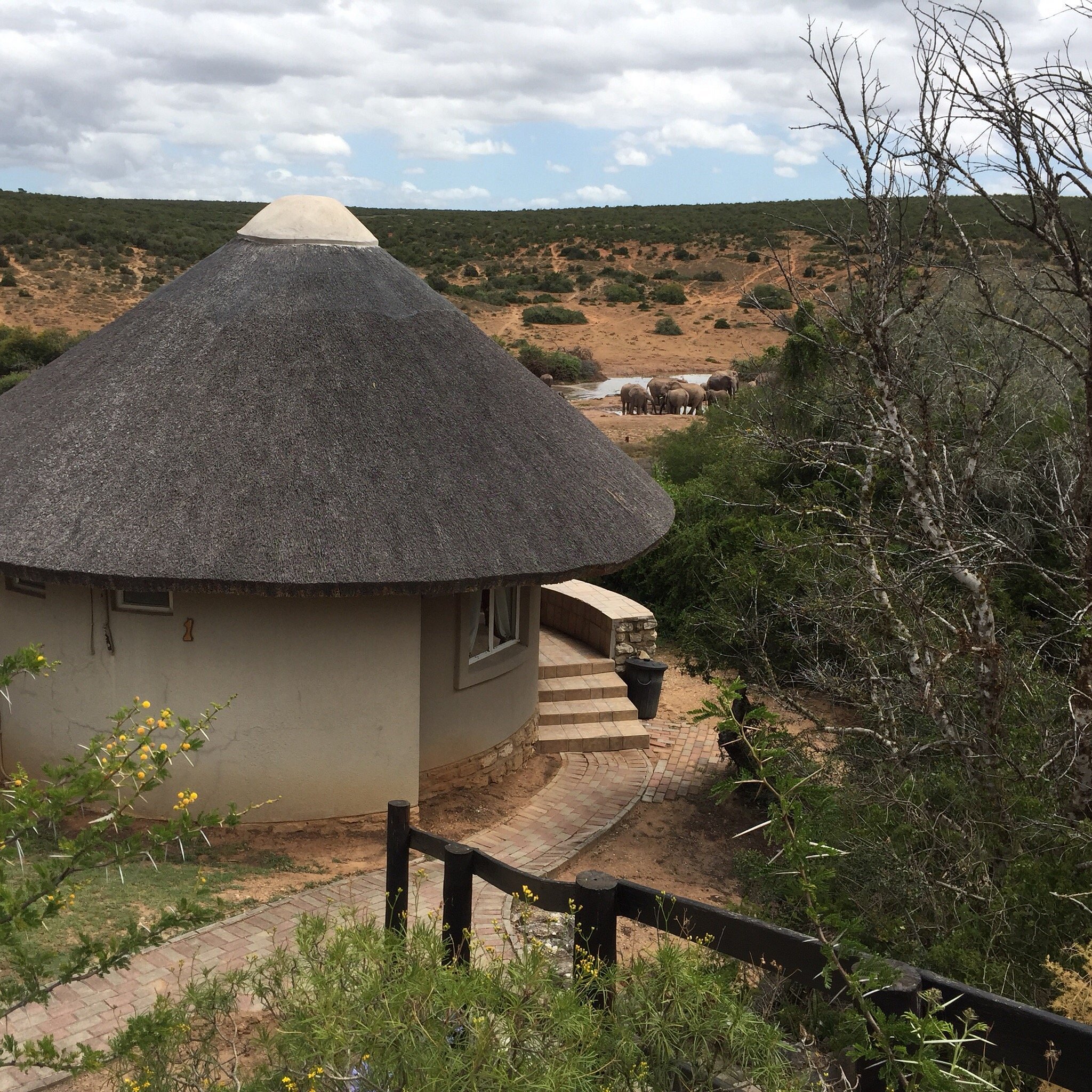 Addo Elephant Main Rest Camp 6