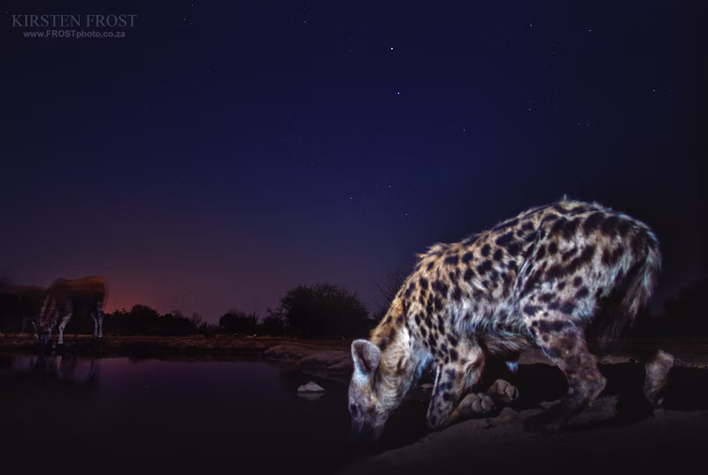 Lala Limpopo Sleep-over Hide