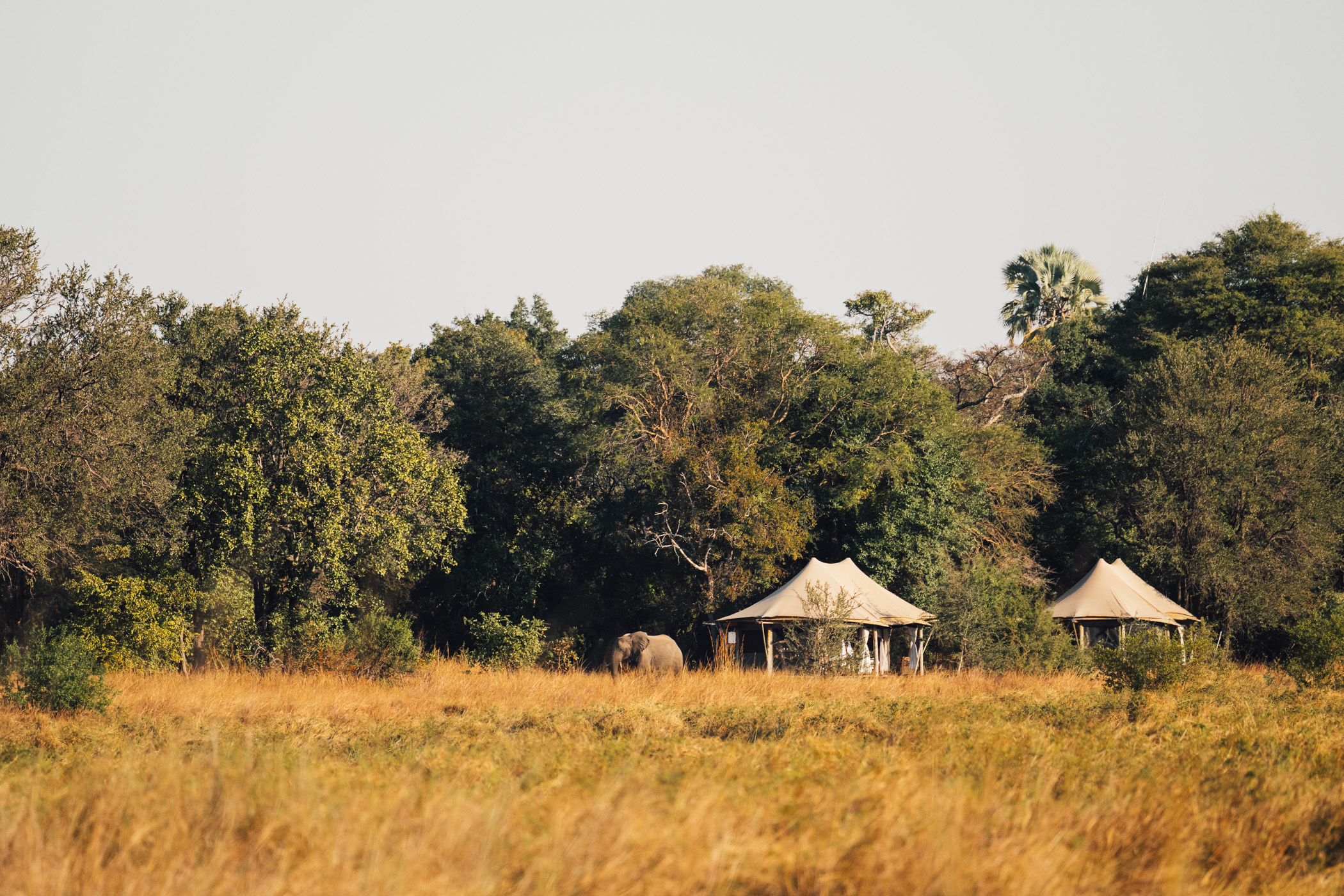 Musekese Camp