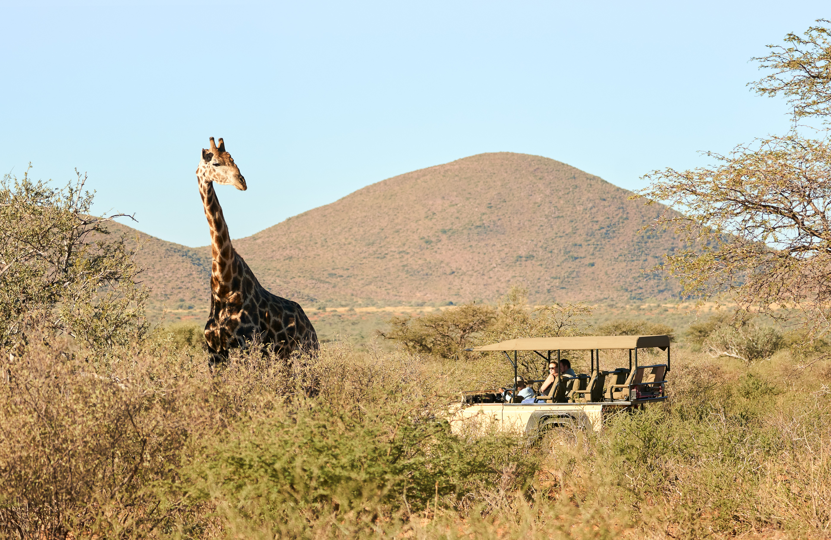 Tswalu Loapi Tented Camp 4