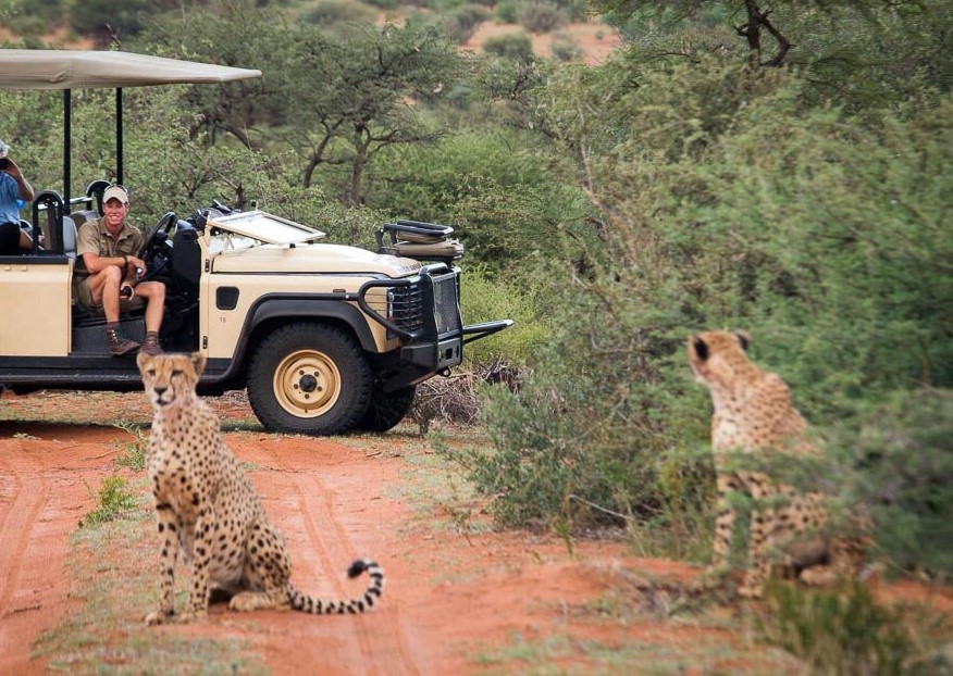 Tswalu Loapi Tented Camp 7