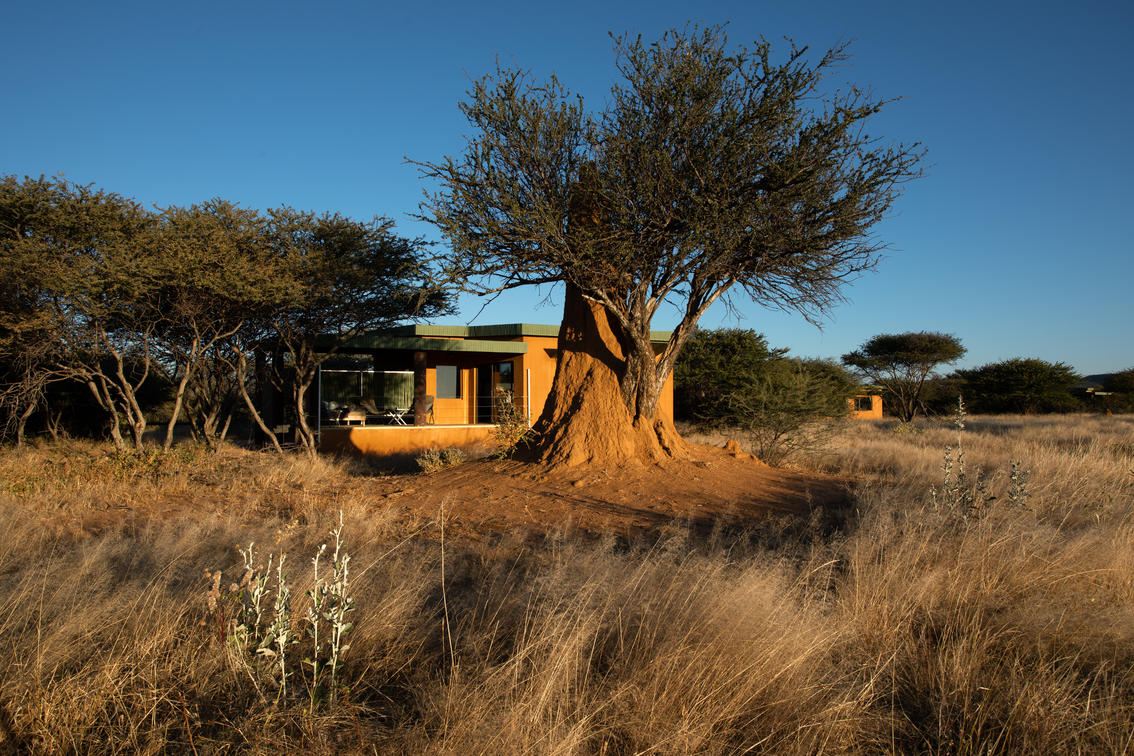 Okonjima Plains Camp 6