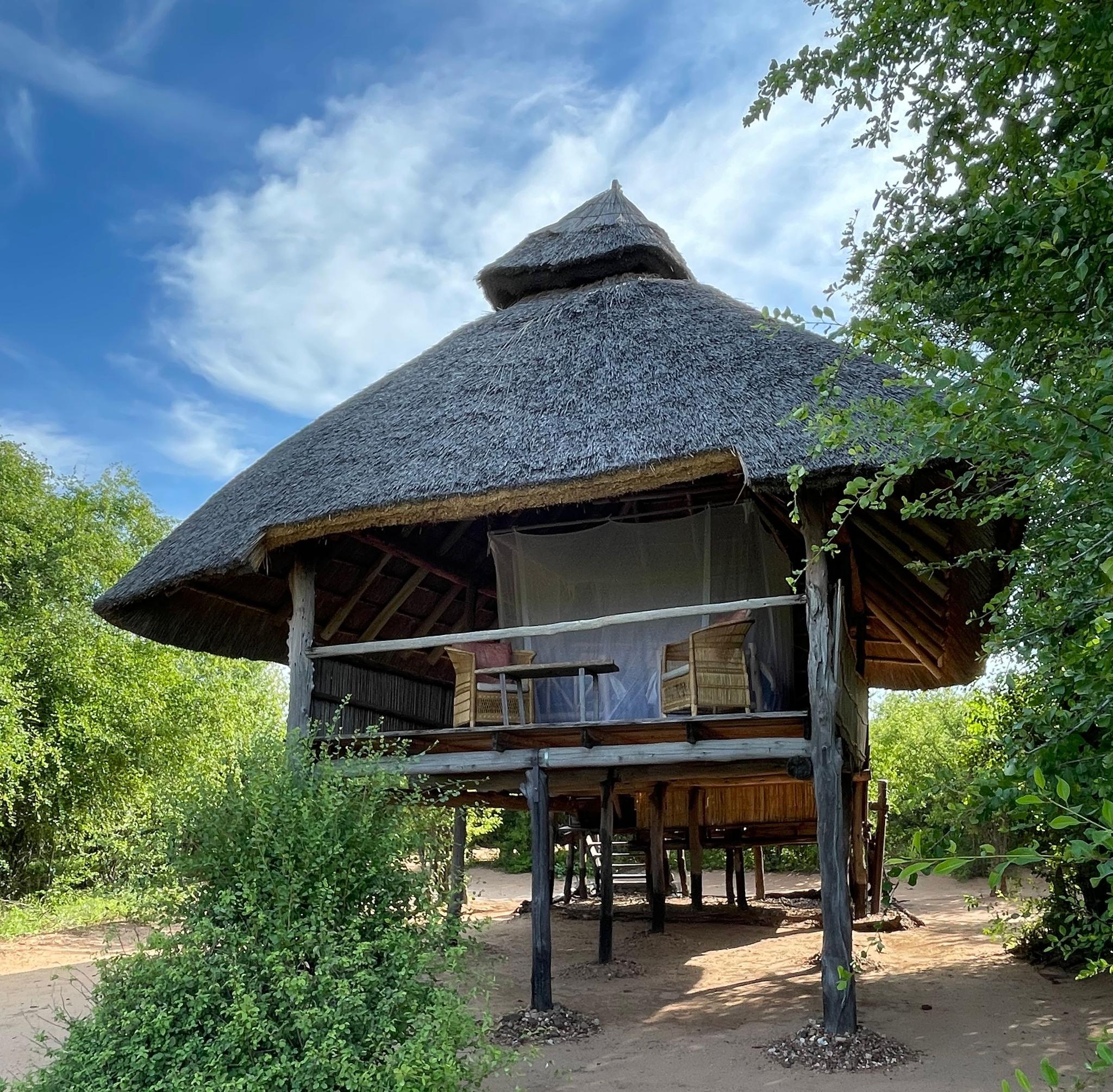 Rhino Safari Camp