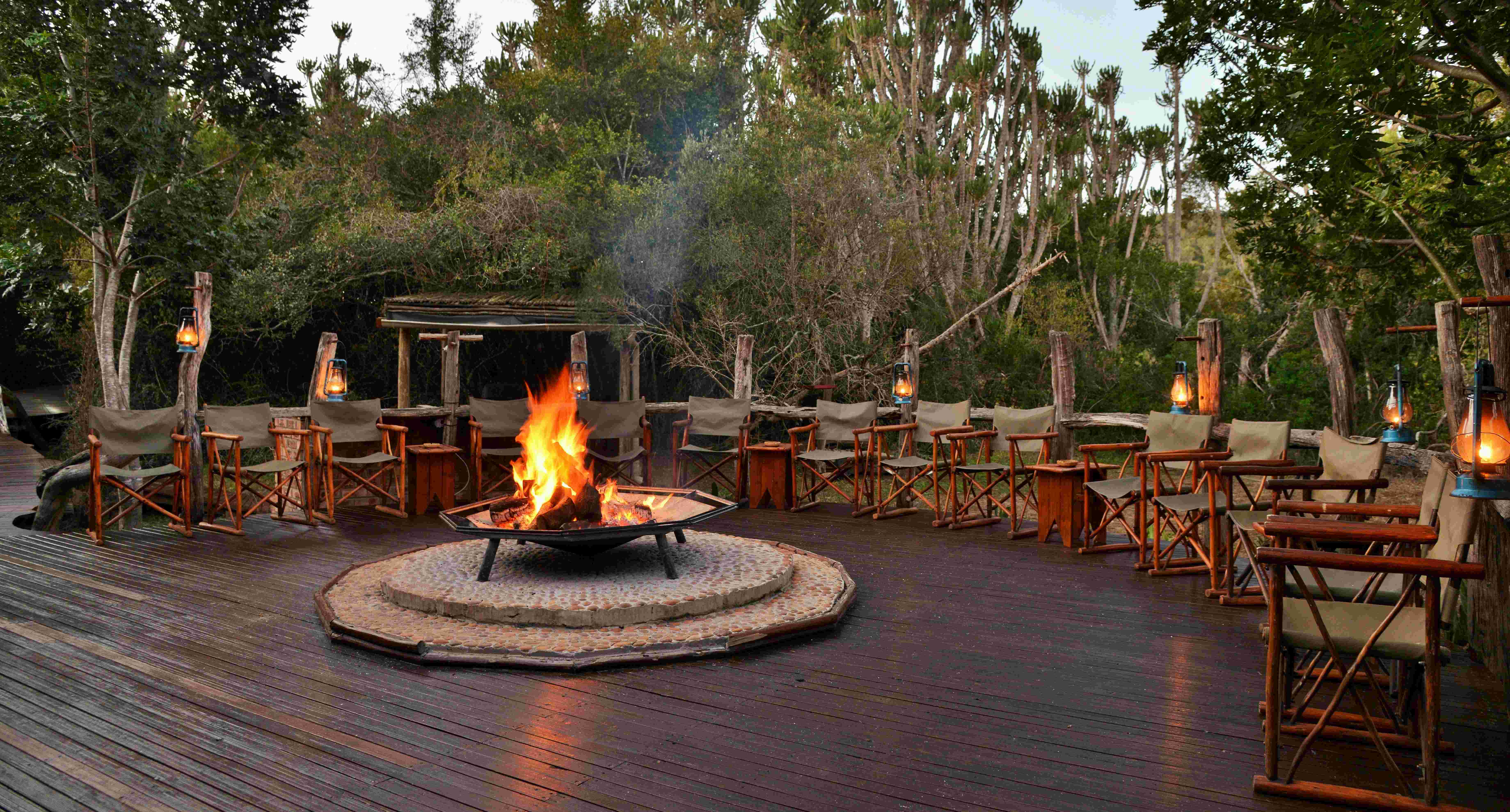 Sibuya Forest Camp 3