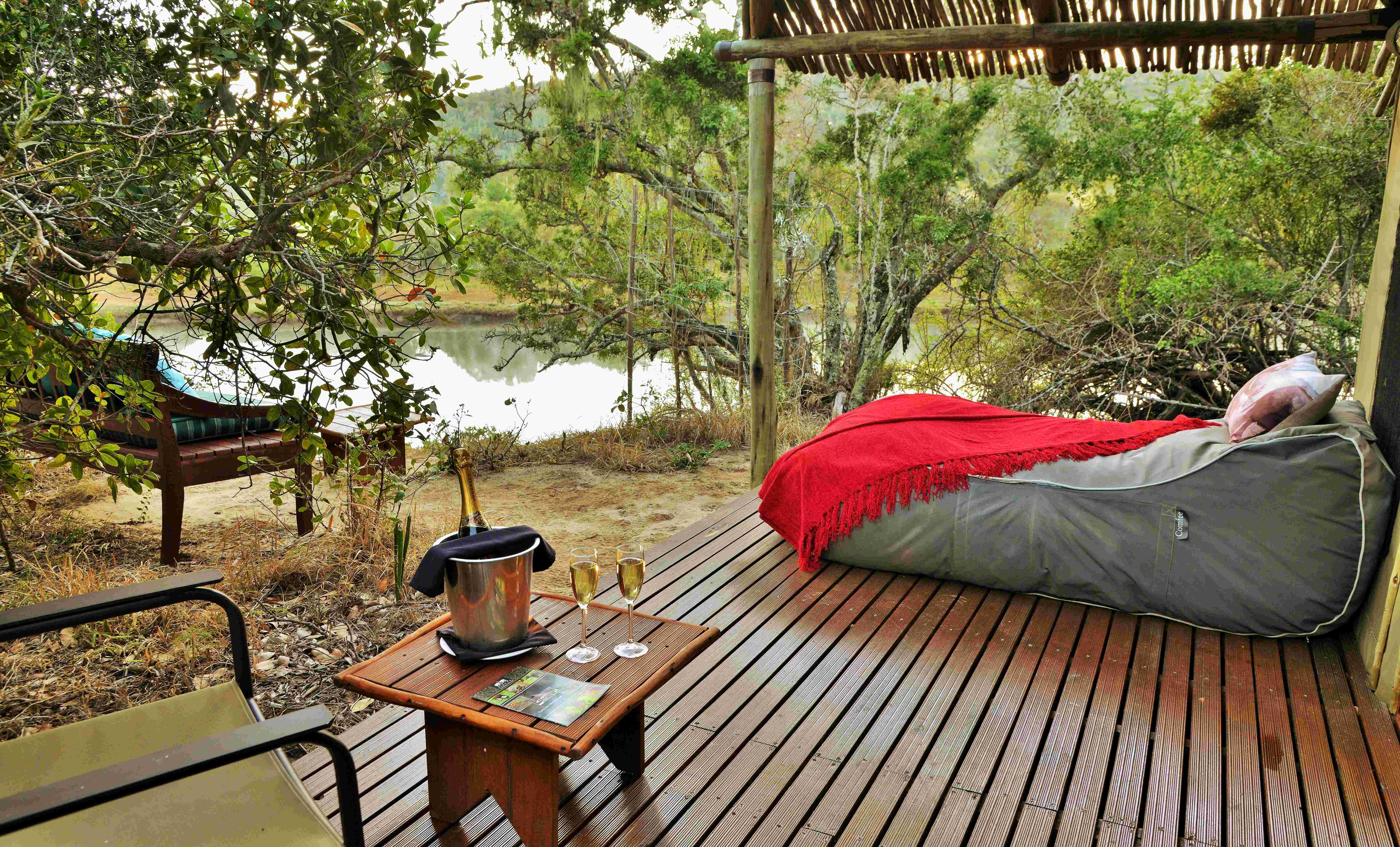 Sibuya Forest Camp 4