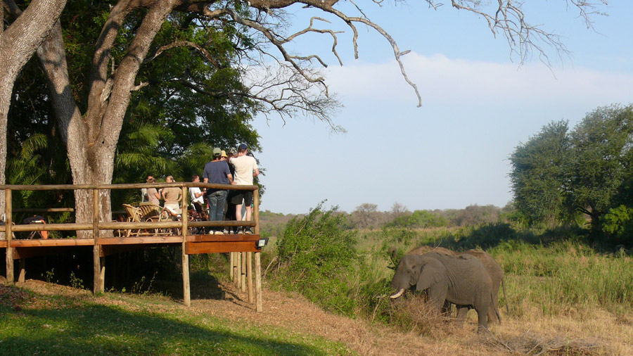 Makutsi 4