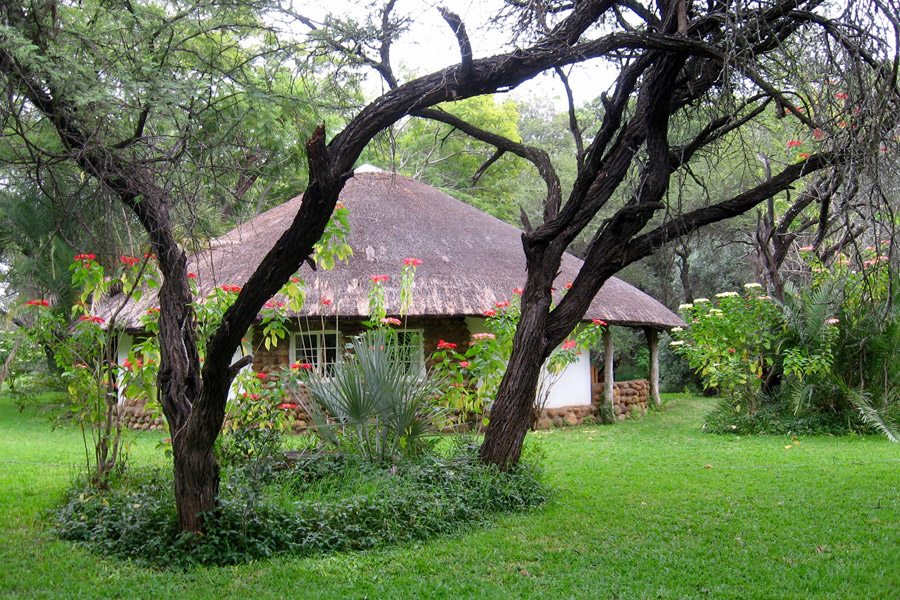 Makutsi 6