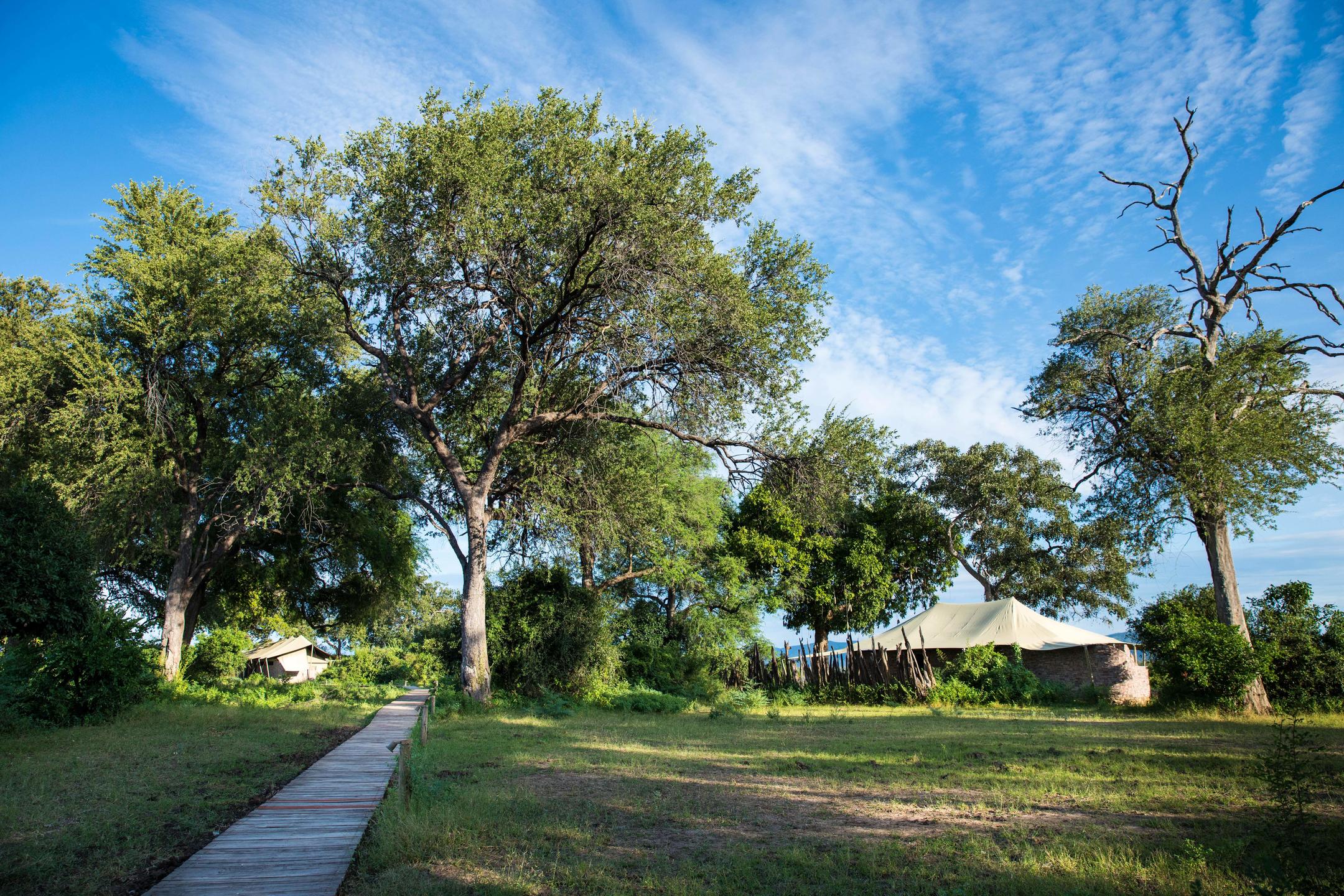 Tembo Plains Camp