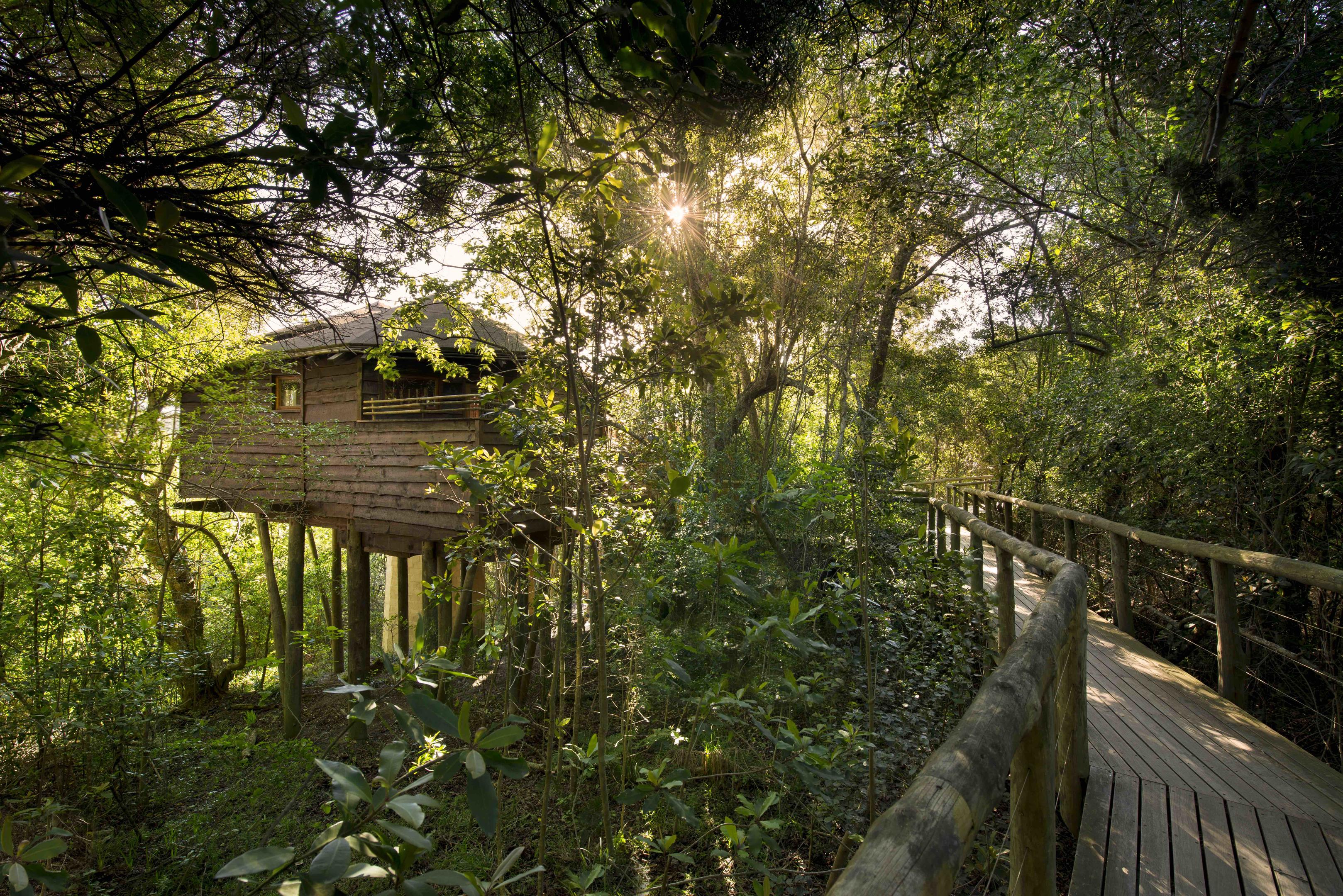 Tsala Treetop Lodge 3