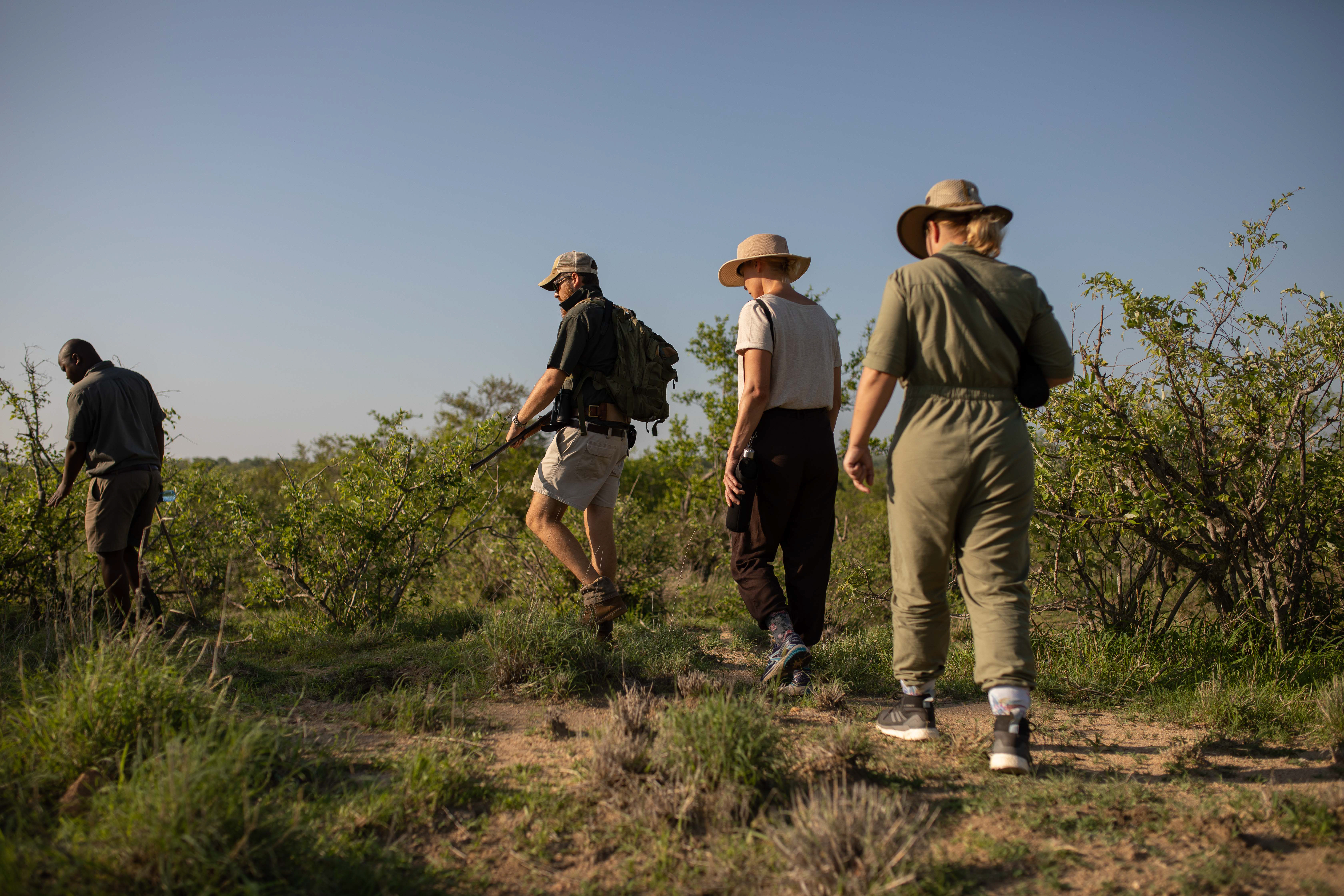 Bateleur Safari Camp 7