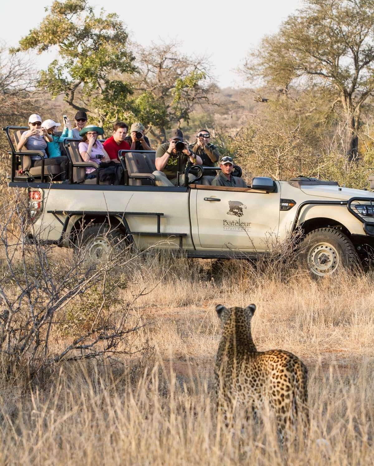 Bateleur Safari Camp 8
