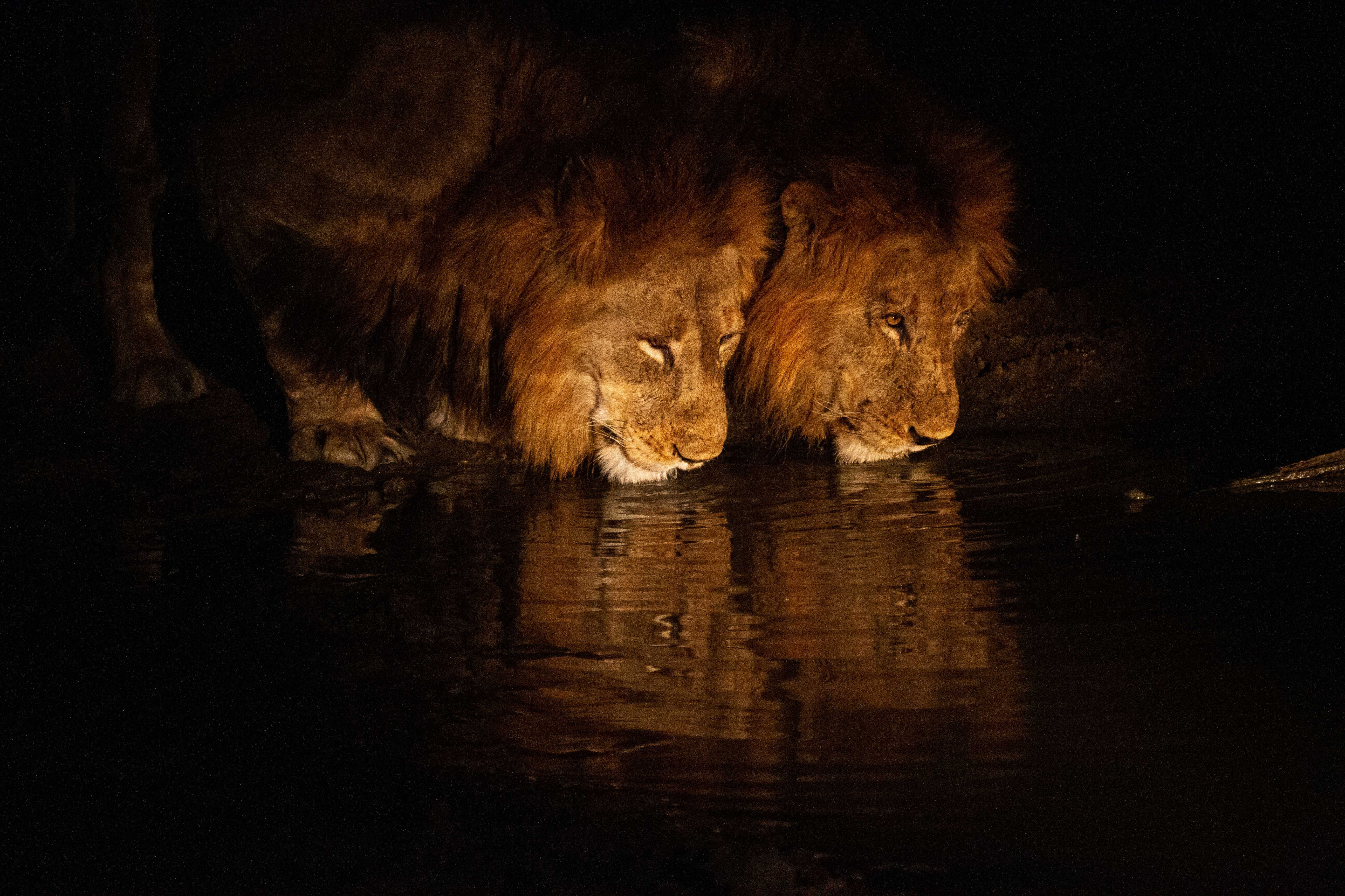 Bateleur Safari Camp 9