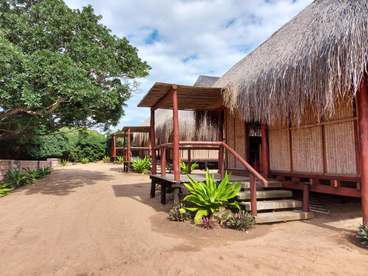 East Africa Safaris