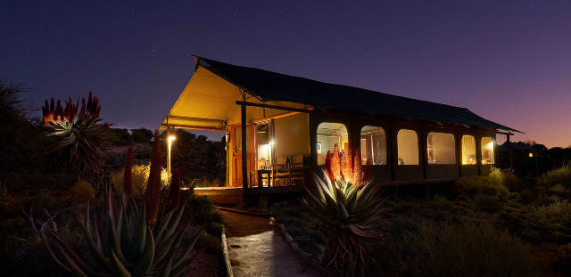 Buffelsdrift Game Lodge 5