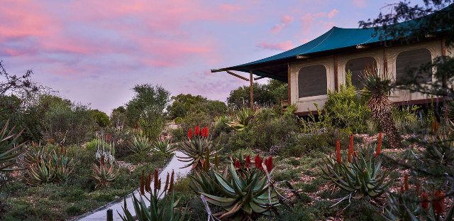 Buffelsdrift Game Lodge 6