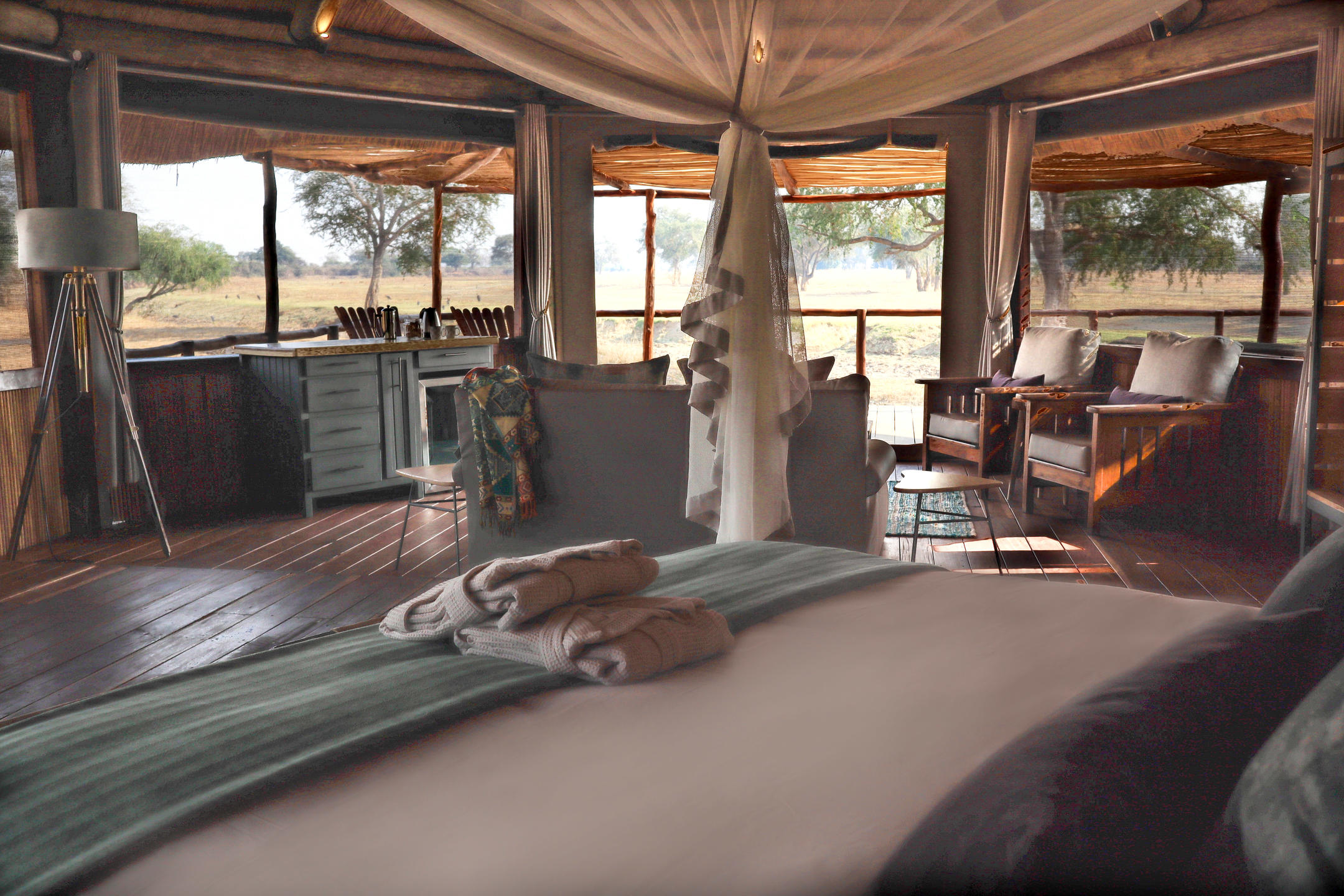 Lion Camp