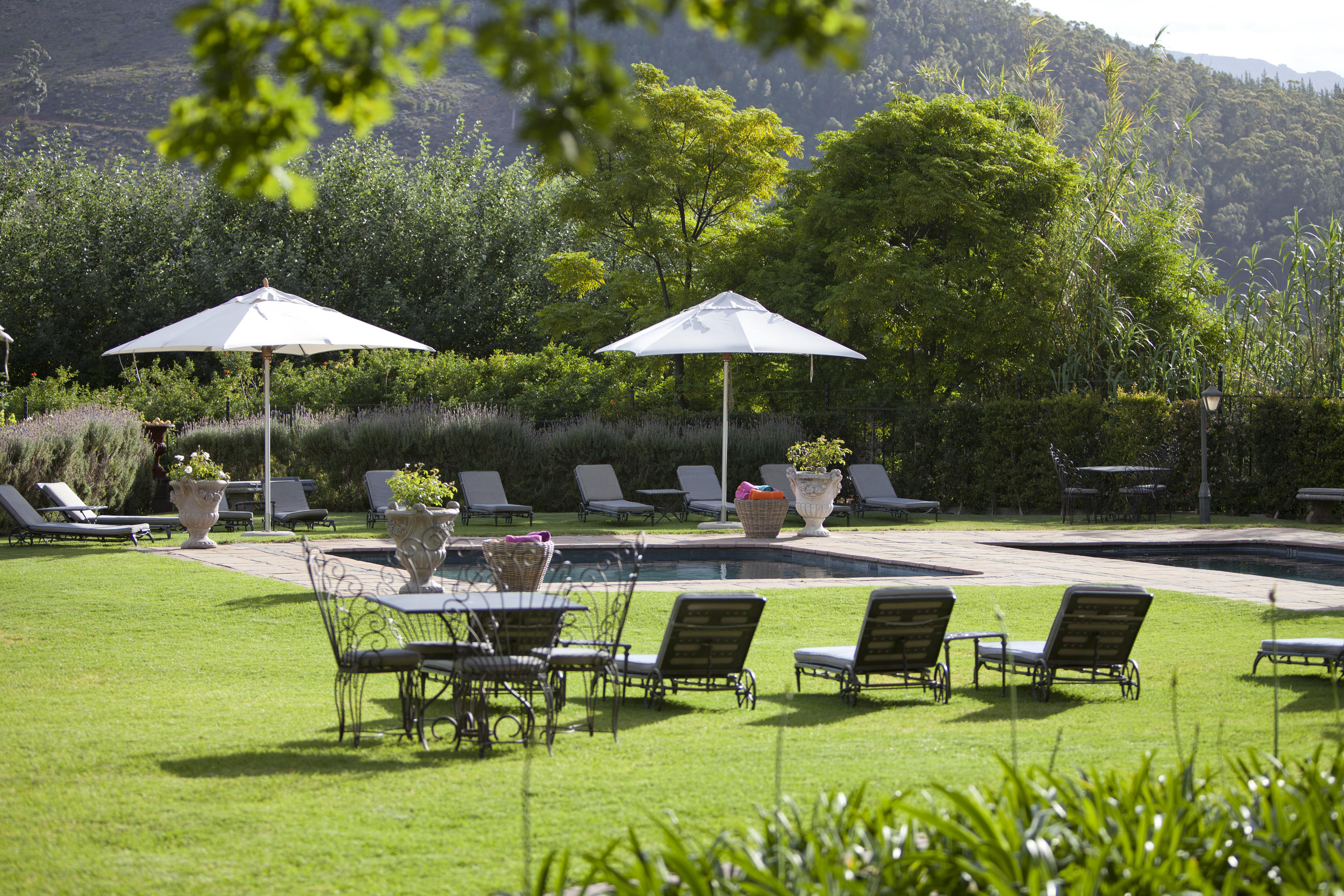 Franschhoek Country House and Villas 6