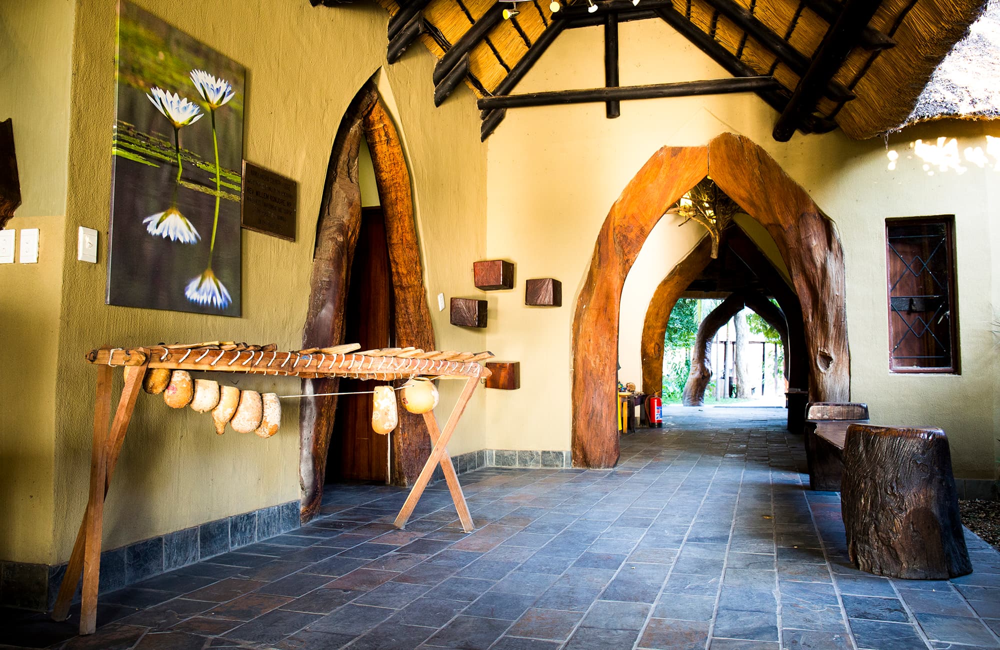 Namushasha River Lodge 5