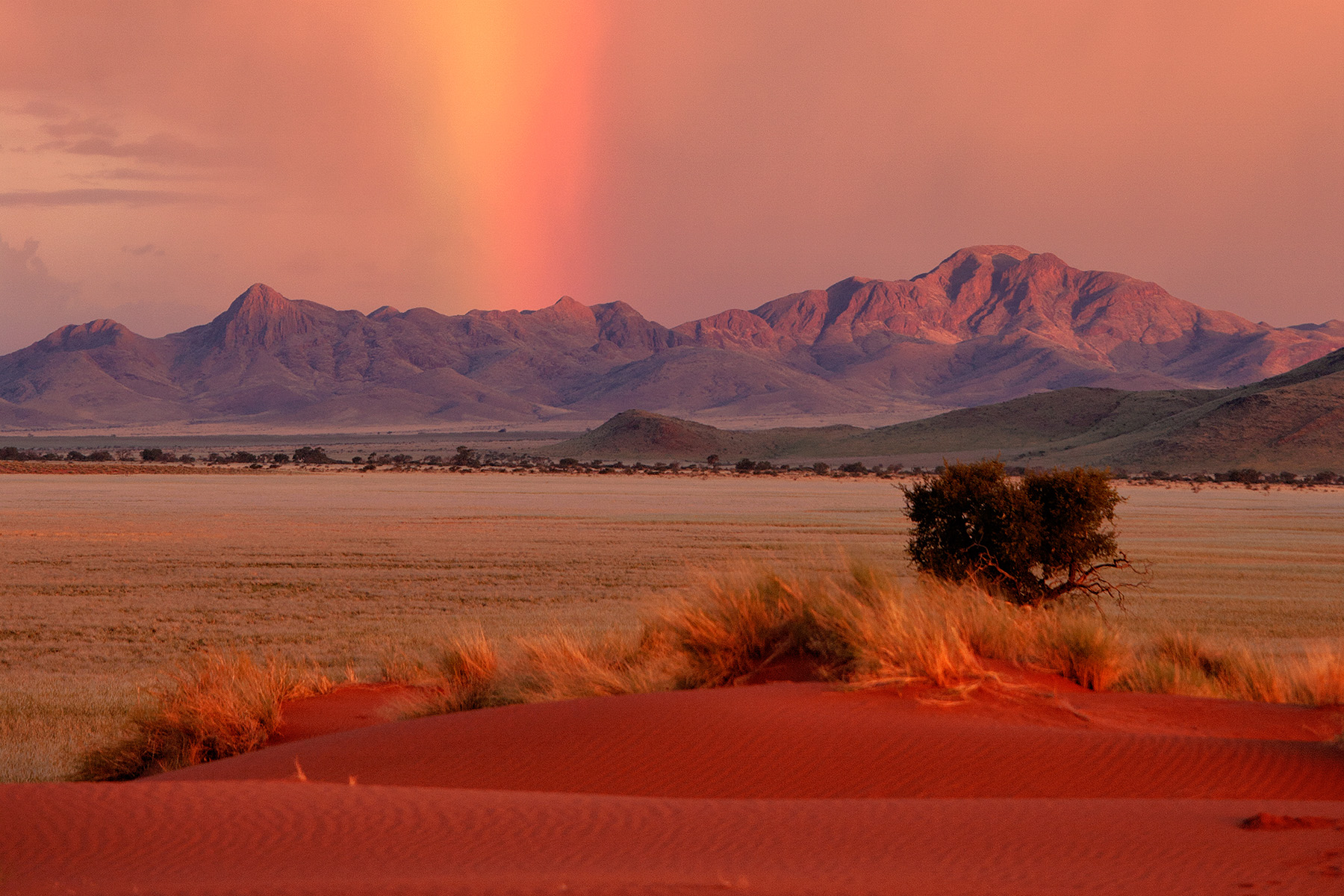 Wolwedans Dune Camp