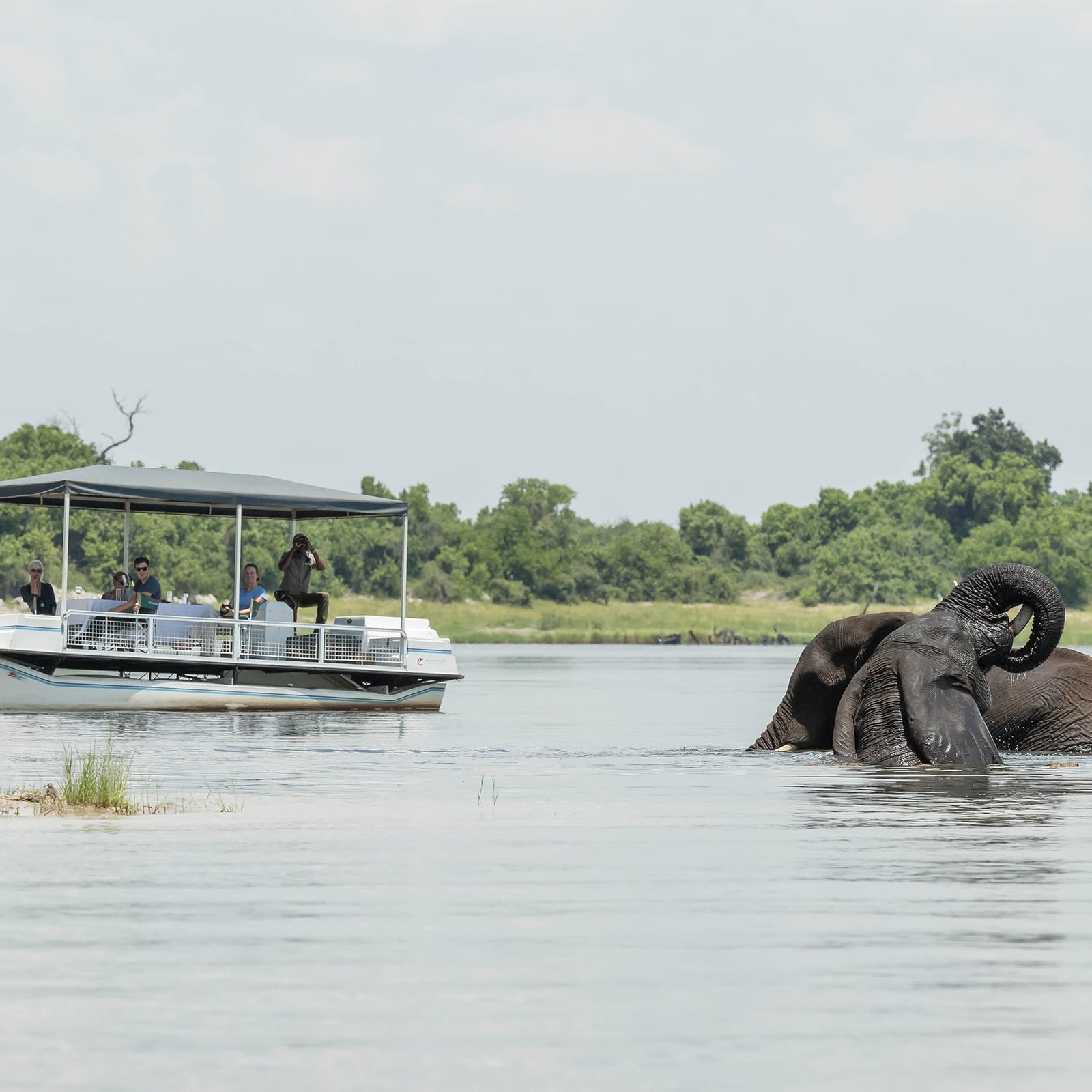 Muchenje Safari Lodge